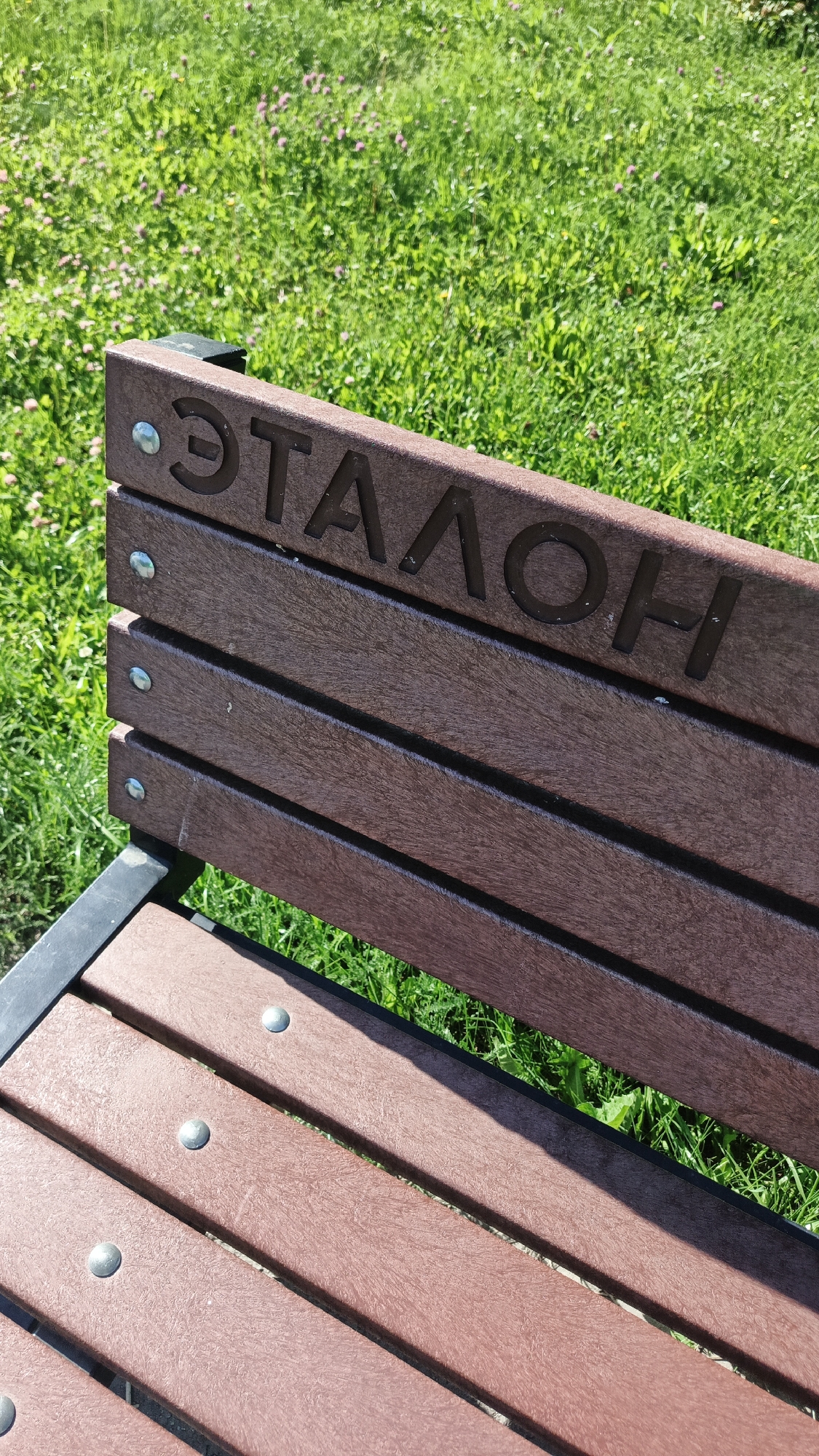 The image shows a close-up of a brown park bench with the Russian word "ЭТАЛОН" (Etalon) carved into the backrest. The bench is made of wood-like material and has visible metal screws. It is set against a backdrop of lush green grass with small pink flowers. The scene appears to be in an outdoor park, likely a public space. The inscription suggests the bench may be a model or standard. This bench is located in Yekaterinburg, Russia, within the vicinity of the Yekaterinburg Museum of Fine Arts, a landmark that often features such artistic park elements.