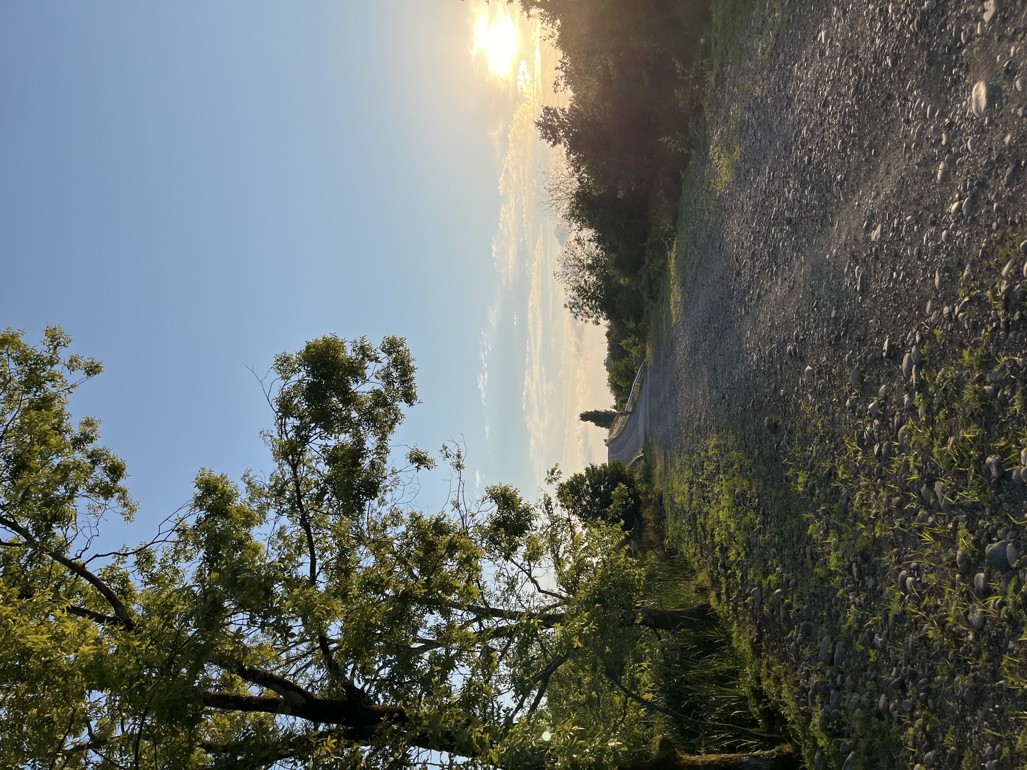 This image depicts a gravel road in Ureki, Georgia, bathed in the warm light of a setting sun. On the left, a large tree with lush green foliage dominates the foreground, its branches reaching towards a clear blue sky. The road itself is a path of grey gravel, interspersed with small green shoots of grass and scattered stones, winding its way into the distance.
The middle ground shows a gentle incline of the road, flanked by dense green vegetation on either side. In the far distance, a solitary figure is visible, walking along the road. The horizon is dotted with trees and hints of distant structures, with power lines also visible stretching across the landscape.
The right side of the image is dominated by the bright glare of the sun as it descends towards the horizon, casting a warm, golden glow and creating lens flare. Wispy clouds are scattered across the sky, tinged with orange and pink hues from the sunset. The overall scene conveys a sense of rural tranquility and the beauty of nature at dusk.