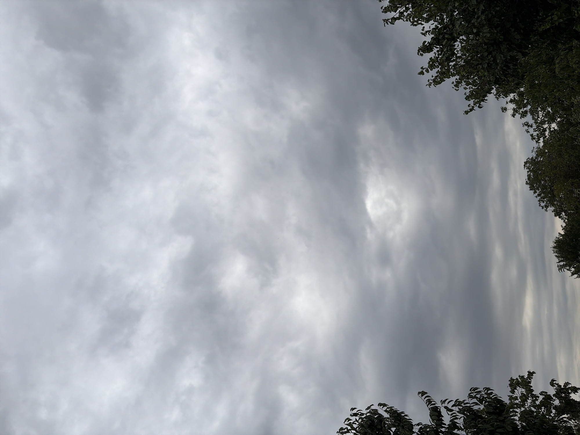 The image shows a cloudy sky with a break in the clouds in the center, allowing some light to filter through. Trees with dark green foliage frame the bottom corners of the image. The scene depicts an overcast day in Oxentea, Moldova. There are no people or specific objects visible, other than the natural elements of sky and trees. The environment appears to be an outdoor setting, possibly a park or a residential area, given the presence of trees.