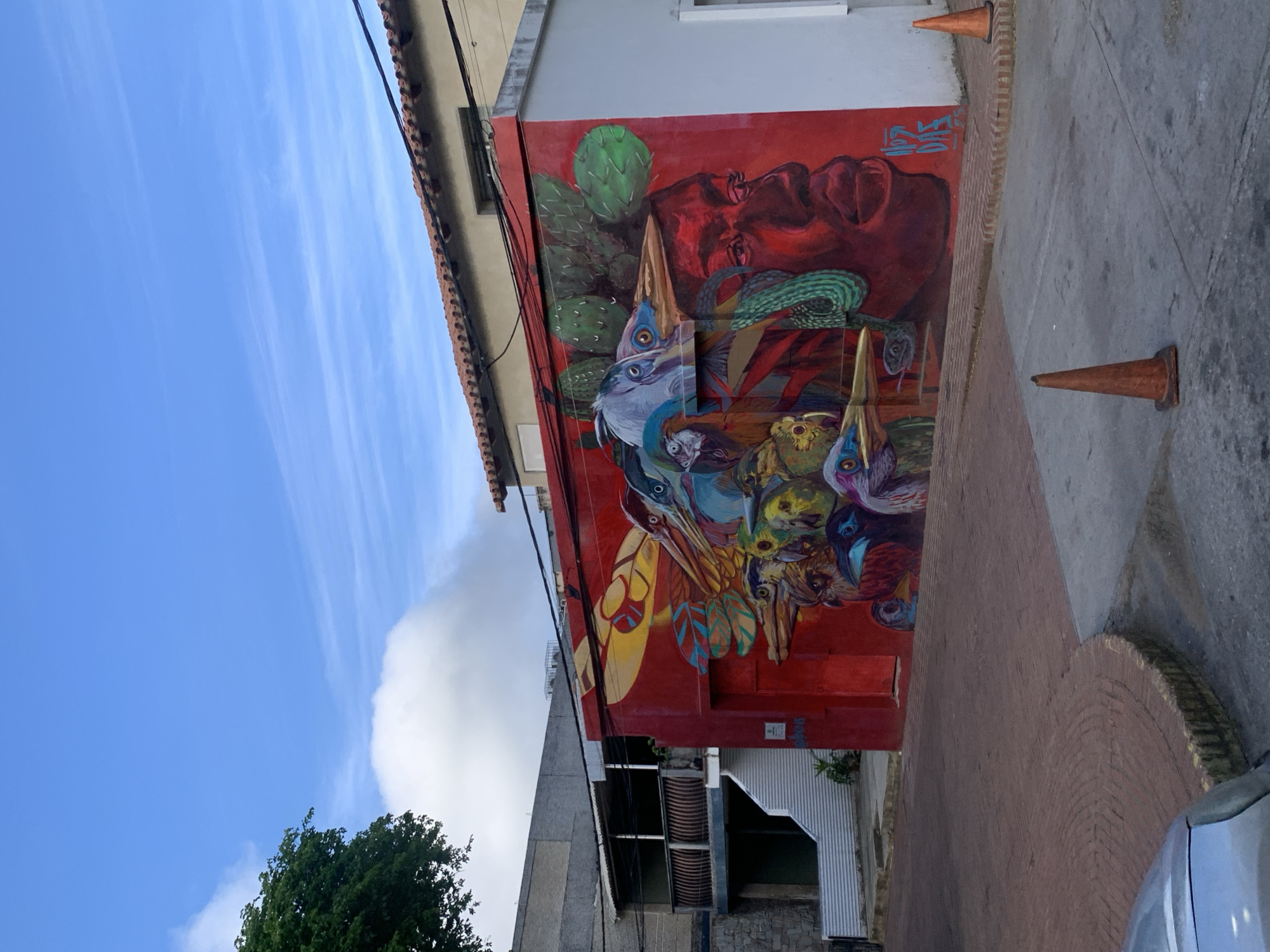 The image shows a vibrant mural painted on the side of a red building in La Asuncion, Venezuela. The mural depicts a stylized human face rendered in dark tones, adorned with a headdress composed of various colorful birds and cacti. The birds are painted with intricate details, showcasing a variety of colors and beaks. The building itself is situated in an urban environment with paved streets and sidewalks. In the foreground, two orange traffic cones are visible on the pavement, suggesting ongoing construction or maintenance. Adjacent to the mural, a grey building with a white corrugated metal facade and a balcony with wooden railings is partially visible. The sky above is blue with scattered white clouds, and a green tree branch extends into the frame from the left. The overall scene captures a piece of urban art and its surrounding environment.