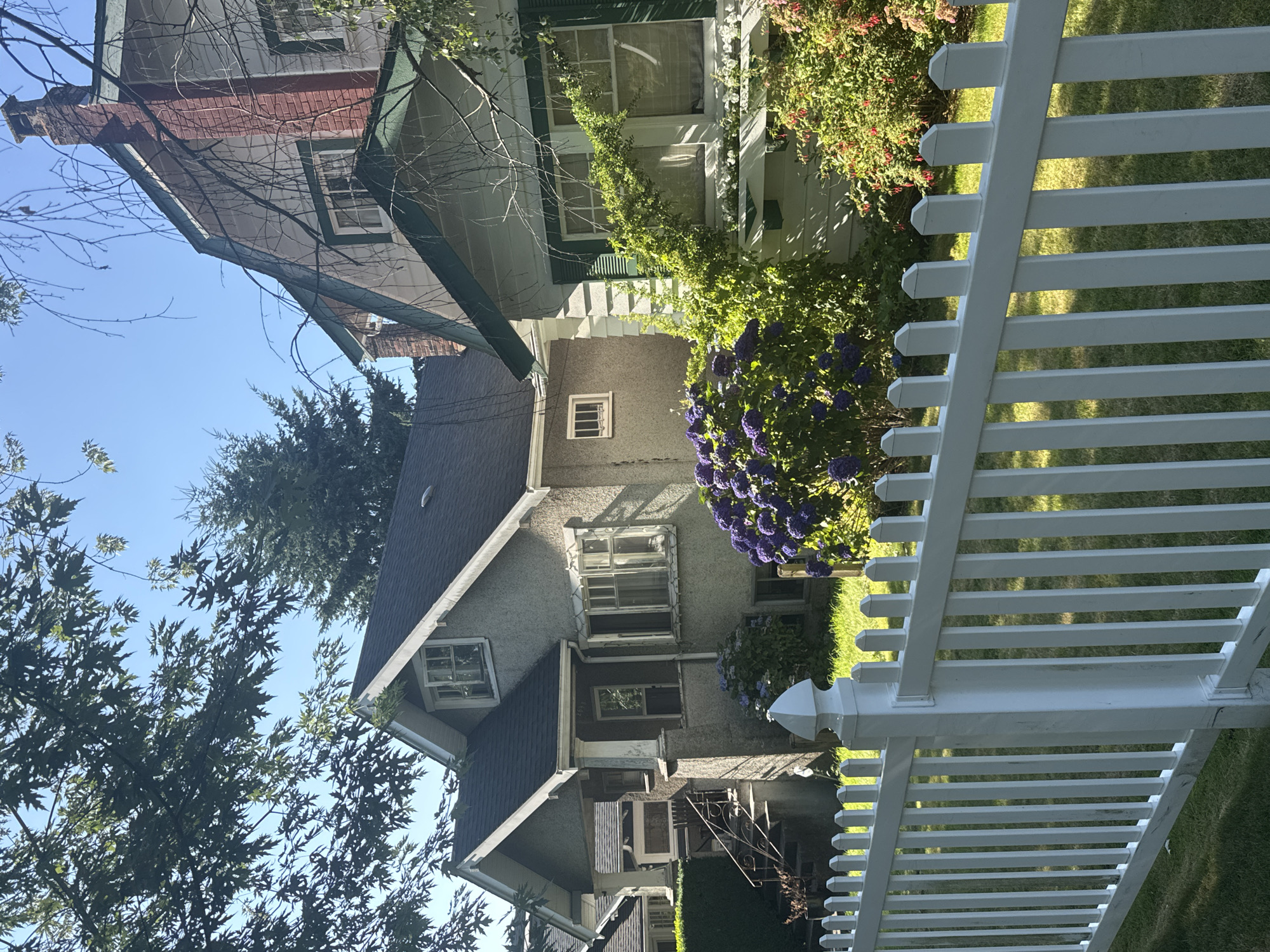 This is a full shot of a residential street in Vancouver, Canada, on a clear, sunny day. The foreground is dominated by a white picket fence that runs across the width of the image. Behind the fence, a well-maintained lawn is visible, interspersed with shadows from the trees overhead.
In the mid-ground, two houses are partially visible. The house on the left is a two-story structure with a gray stucco exterior. It has a peaked roof with dark shingles, a covered porch with white columns, and multiple windows. A set of concrete stairs with a metal railing leads up to the porch. Lush green bushes flank the stairs and the front of the house.
Adjacent to the left house is a second house, which appears to be taller and has a more distinct architectural style. It features a steeply pitched roof with some lighter colored siding on the upper levels, contrasted with dark green trim. A prominent red brick chimney rises from the side of this house. This house also has windows with green shutters.
A large cluster of vibrant purple hydrangeas is a prominent feature in front of the left house, and a bush with red flowers is visible near the right house. Mature trees, with green leaves and bare branches, are scattered throughout the scene, casting dappled shadows on the houses and lawn. The sky is a clear, bright blue.