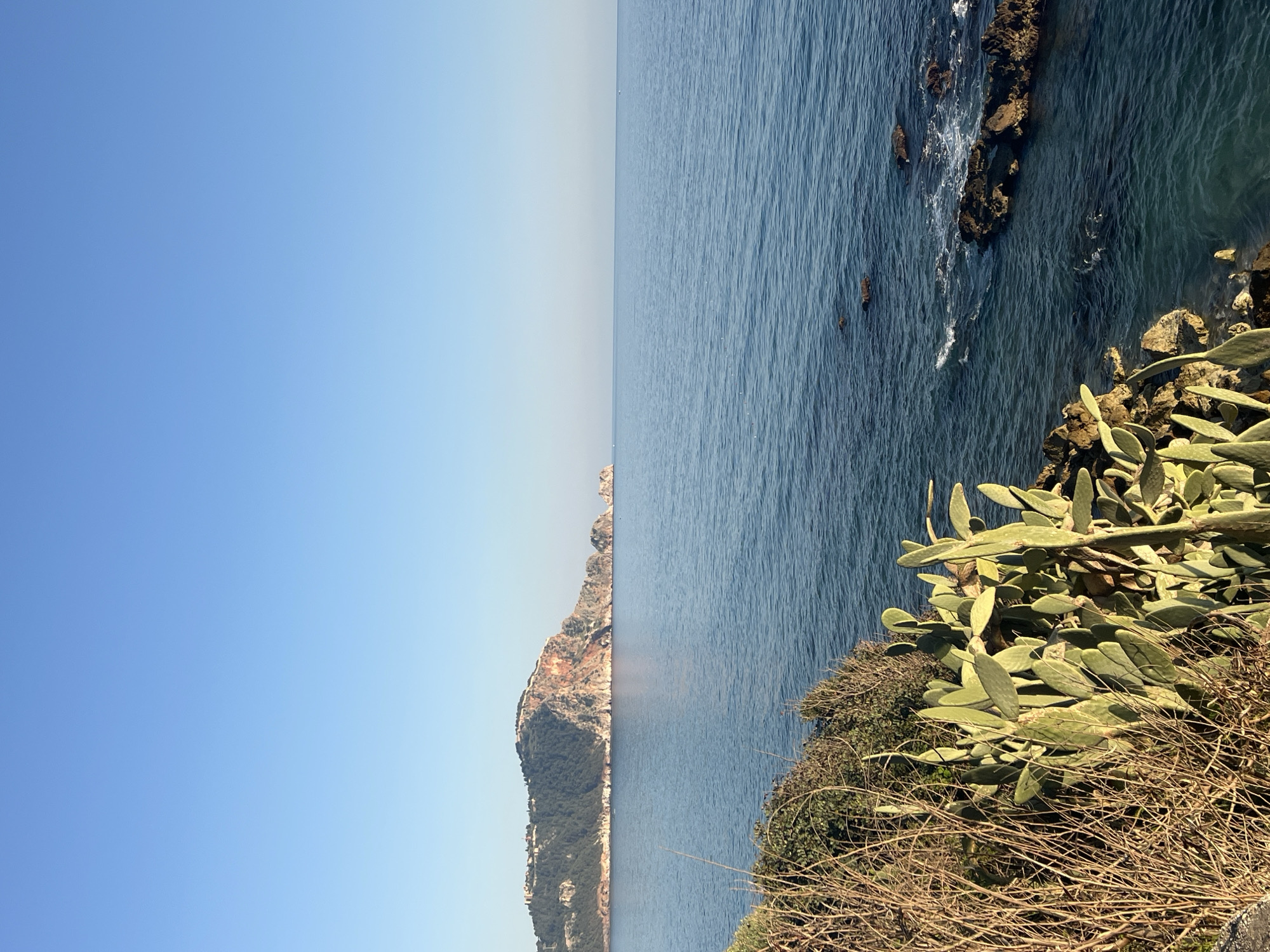 This image depicts a serene coastal landscape in Alanya, Turkey, under a clear, bright blue sky. The sky, a gradient from deep blue to a lighter shade near the horizon, occupies the top and left portions of the frame. Below it, a vast expanse of calm, deep blue sea stretches towards the horizon, displaying gentle ripples on its surface.
A prominent, rugged headland or mountain forms the central landmass, extending horizontally across the mid-left of the image. Its slopes are covered in a mix of green vegetation and rocky, arid sections, with some scattered buildings visible at its base, hinting at a coastal settlement.
In the foreground, on the bottom and right, a rocky cliff edge is densely covered in Mediterranean vegetation. The most noticeable elements are several large prickly pear cacti (Opuntia), characterized by their distinctive flat, paddle-like pads, interspersed with dry, bushy shrubs and branches. Closer to the water, dark rocks are visible breaking the surface of the sea, accompanied by faint white foam, indicating the gentle lapping of waves.
The time of day appears to be mid-morning or early afternoon due to the clear, bright sunlight and shadow play. The weather is sunny and clear, contributing to the tranquil atmosphere. There are no people or specific activities taking place, offering a peaceful, natural vista. No visible text is present in the media.