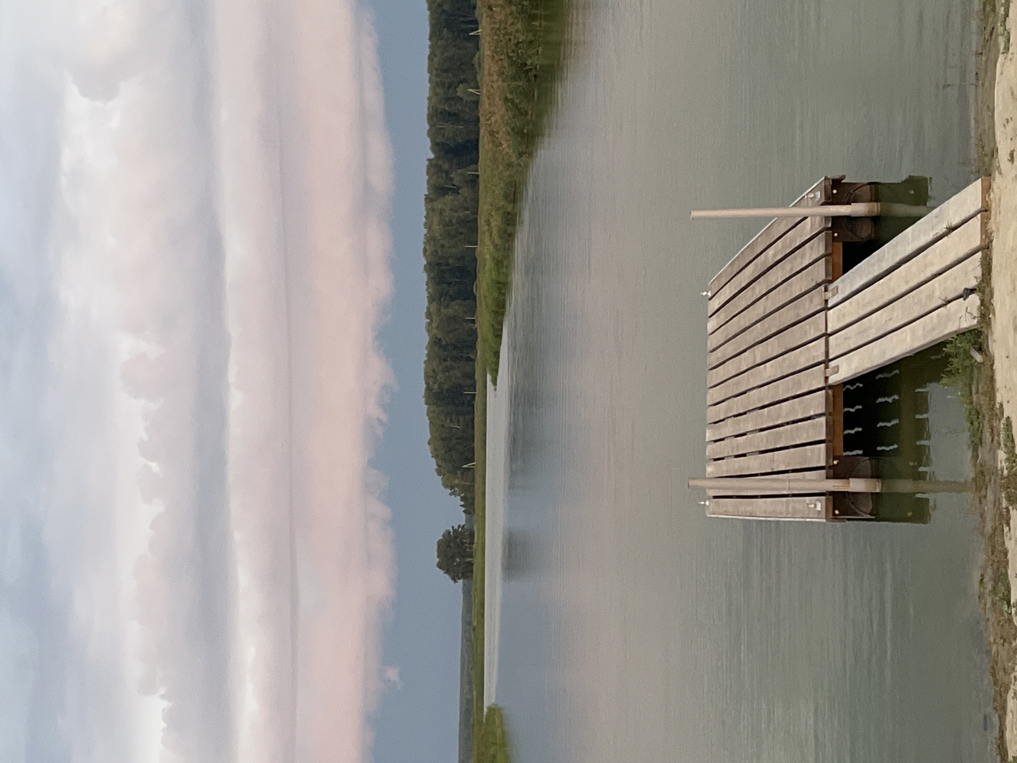 The image depicts a serene landscape scene at Novopichugovo, Russia. In the foreground, a wooden pier extends into a calm body of water. The pier is constructed from horizontal wooden planks and is supported by submerged structures. A ramp made of concrete slabs leads to the pier. The water reflects the overcast sky and the surrounding greenery. The middle ground features a wide expanse of water leading towards a dense line of trees and vegetation along the distant bank. A solitary tree stands prominently on the left side of the bank. The sky above is filled with heavy, stratified clouds, tinged with shades of pink and gray, suggesting either dawn or dusk. The overall atmosphere is tranquil and natural.
