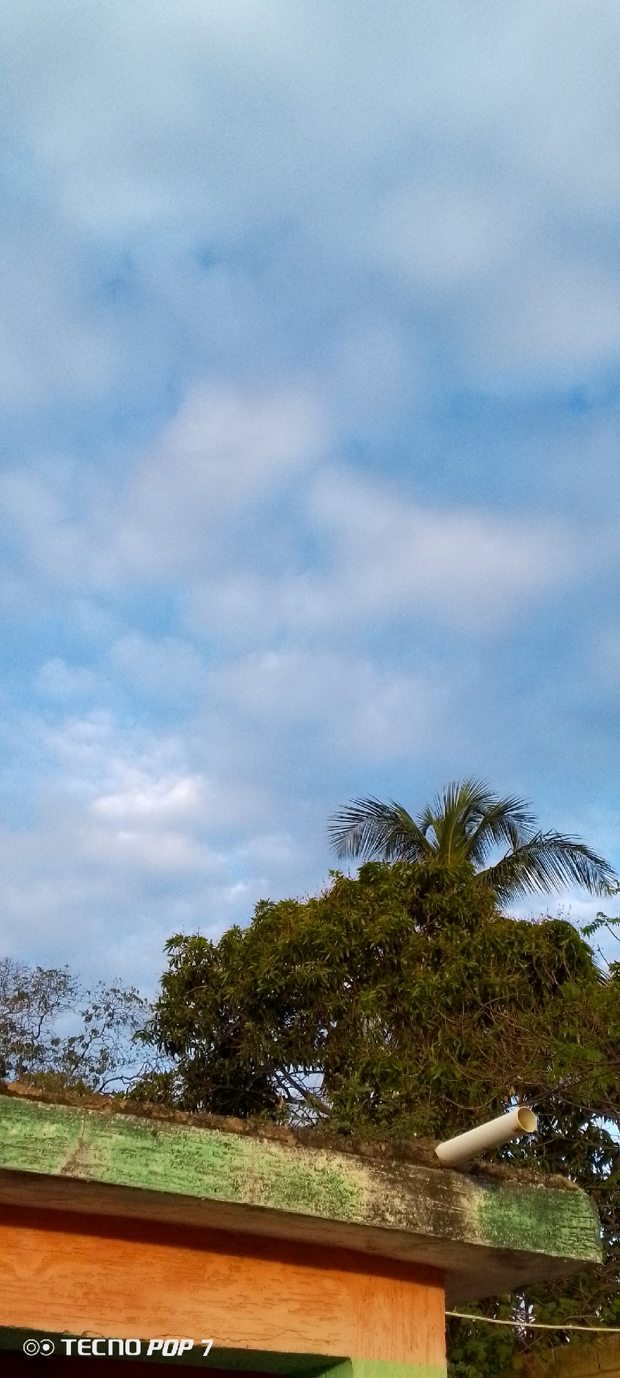 The image shows a view of the sky above the city of Altagracia, Venezuela. The sky is light blue with scattered white clouds. Below the sky, there is a treetop with green foliage, possibly a mango or similar fruit tree. A coconut palm tree is also visible within the foliage. In the foreground, there's a portion of a building or structure with a weathered, moss-covered concrete roof. A white PVC pipe is protruding from the roof structure. The lower part of the building has orange siding with a green stripe at the top. The logo of the "Tecno Pop 7" mobile phone is in the lower left corner of the image.