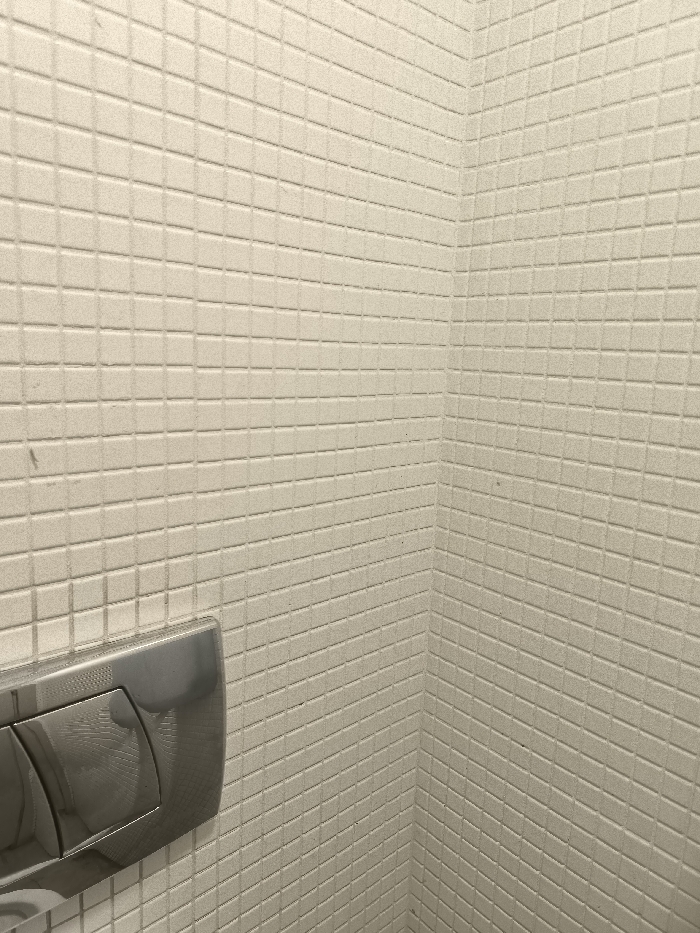 The image presents an interior scene featuring a corner of two tiled walls. The tiles are small, rectangular, and light-colored, appearing off-white or cream, with a slightly textured, matte finish. They are arranged in a horizontal brick-like pattern across both visible walls. The seam where the two walls meet is sharply defined.
In the lower-left quadrant of the image, a portion of a metallic toilet flush plate is visible. It appears to be made of polished or brushed chrome, reflecting some light, and features two distinct buttons, characteristic of a dual-flush mechanism. This detail strongly suggests the setting is a bathroom or toilet.
No people are present, and no specific activity or event is taking place; the image captures a static architectural detail. There are no direct visual cues within the image itself to indicate the time of day, weather, or any particular emotions. A few faint specks or minor discolorations are visible on some of the tiles, particularly on the left wall. The location context provided is Palaio Faliro, Greece, though this is not visually discernible from the image content. No text is visible on the tiles or the flush plate.