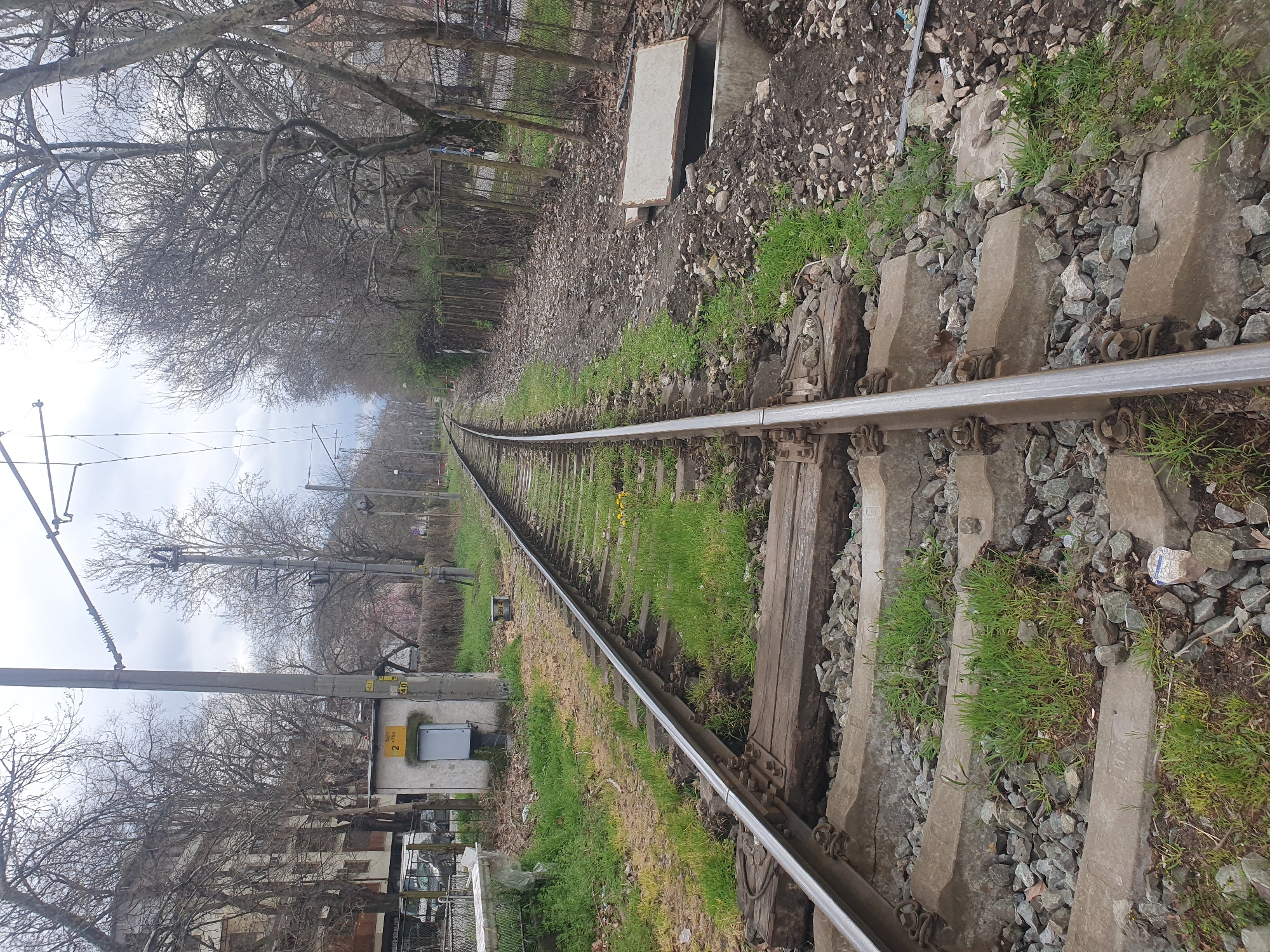 The image depicts a section of railway tracks, situated within an urban environment, most likely in Plovdiv, Bulgaria. The tracks curve slightly into the distance, suggesting a bend in the railway line. The track bed consists of wooden and concrete sleepers, interspersed with gravel. Patches of green grass are visible between and alongside the sleepers, indicating a partially overgrown track area.
On the right side of the tracks, there is a variety of gravel and rock materials. On the left, a few concrete structures appear, one which might be the edge of a small building or utility structure, a grey metal box on a cement base, and light poles with overhead electric wiring along the rail tracks.
Bare trees line the horizon, hinting at either late fall or early spring conditions. The lighting suggests an overcast day, and no people are visible in the immediate vicinity.