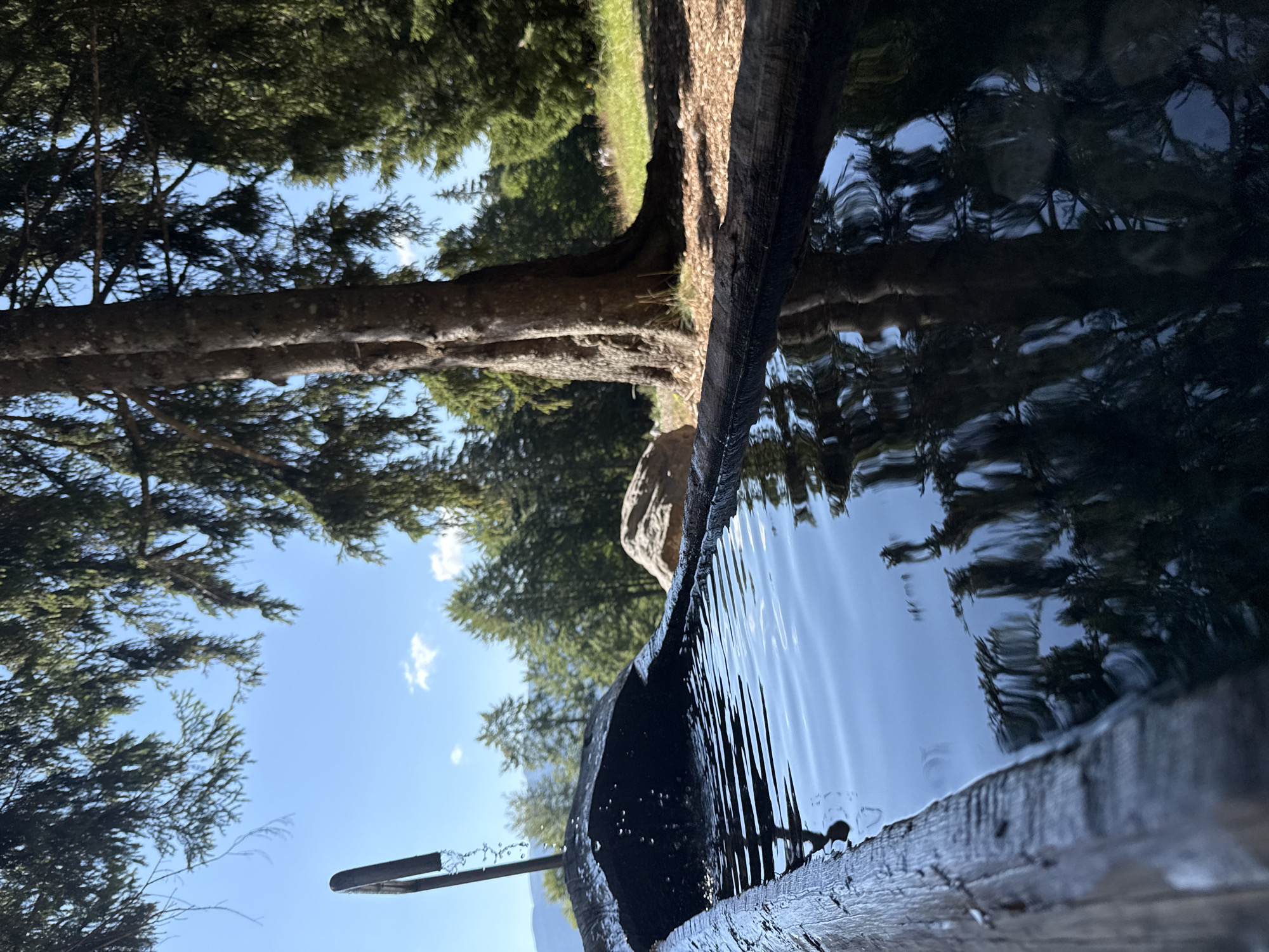 A rustic wooden trough filled with clear water sits in a sun-dappled forest clearing. The water reflects the surrounding trees and the bright blue sky with a few white clouds. A stream of water is visibly falling into the trough from a metal spout on the left. In the background, large trees with rough bark tower over a grassy area, with more trees in the distance. A large, light-colored boulder rests near the trough on the right. The scene evokes a sense of tranquility and natural beauty, likely in a mountainous or forested region. This location is not in the city of Molveno, Italy, but appears to be a natural water source in a rural or wilderness setting.