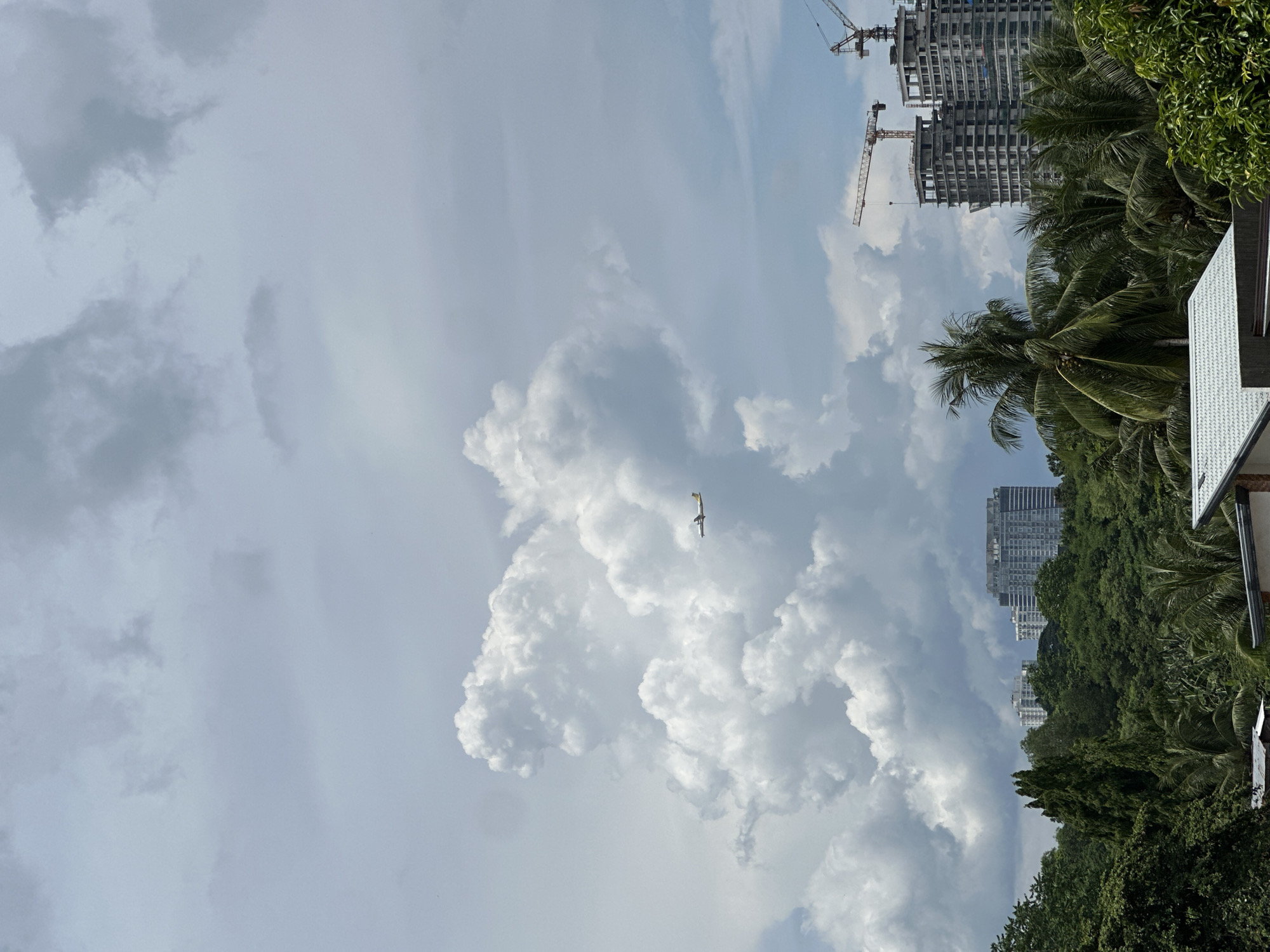 The image shows a daytime scene in Davao City, Philippines. A small, light-colored aircraft is flying in a cloudy sky. In the background, there are several buildings, including a high-rise structure under construction with two cranes visible. The foreground contains lush, green trees, including palm trees, indicative of a tropical environment. A portion of a building with a tiled roof is also visible on the right side of the frame.