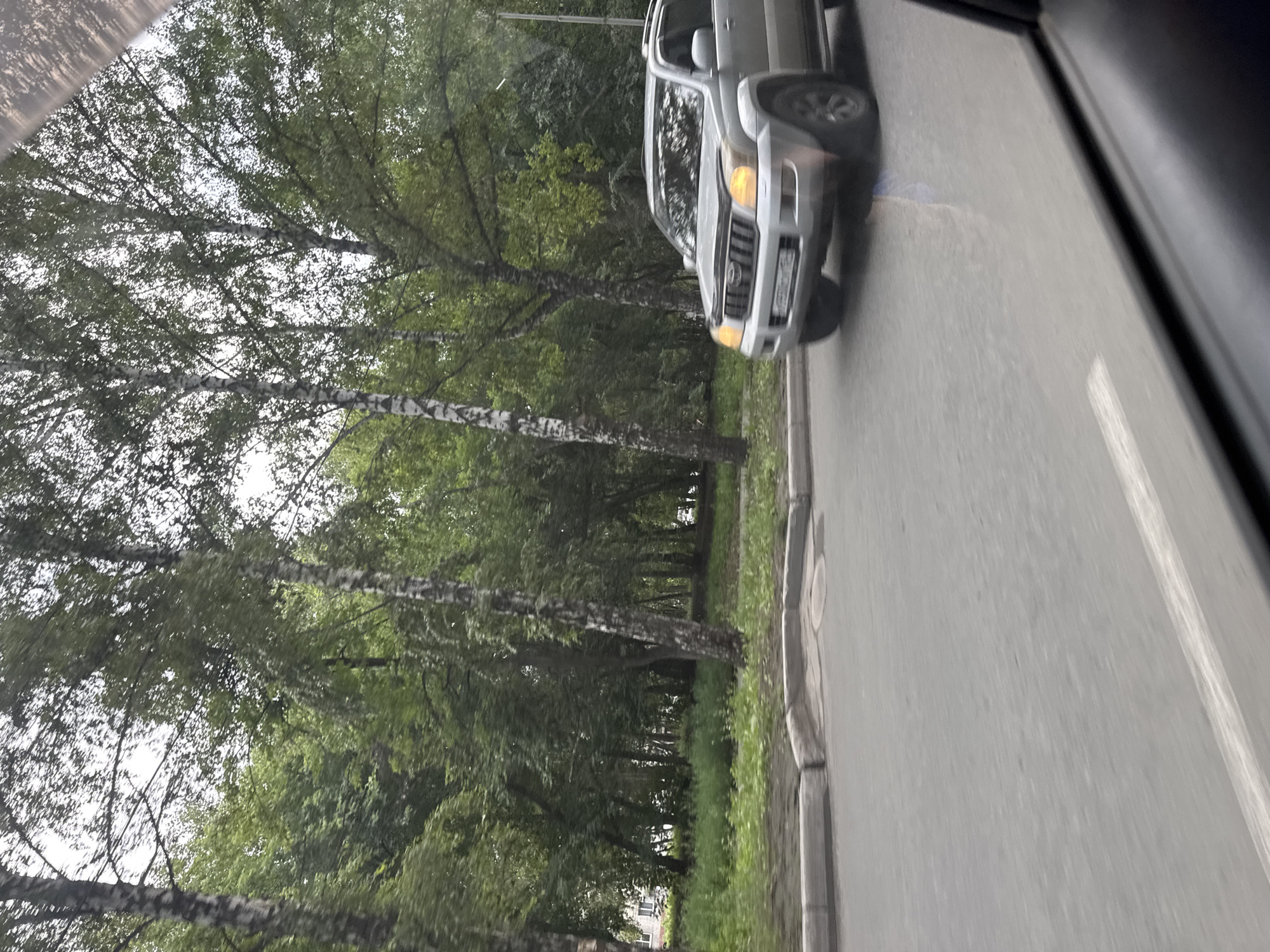 A silver SUV is driving on a paved road lined with trees and a sidewalk in an urban environment. The SUV is silver and has its headlights on. The trees are a mix of deciduous species, and the ground is covered in grass and some dirt. The sky is overcast. The image appears to have been taken from inside another vehicle, as evidenced by the blurred foreground.