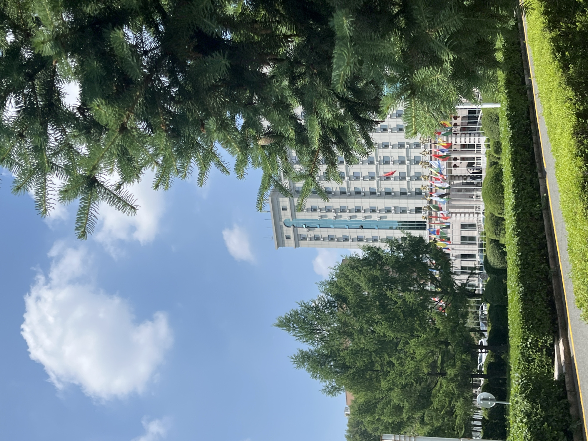 The image captures a clear, sunny day in Changchun City, China. In the foreground, a large evergreen tree with dense green needles partially obstructs the view. Beyond the tree, a well-maintained hedge runs horizontally across the frame, bordered by a road with yellow lines. Behind the hedge, a row of various flags flies on poles in front of a tall, modern building. The building is light-colored with numerous windows and air conditioning units. To the left of the building, another cluster of green trees is visible. The sky is blue with scattered white clouds. The overall scene suggests an institutional setting, possibly a university or an international organization's office.