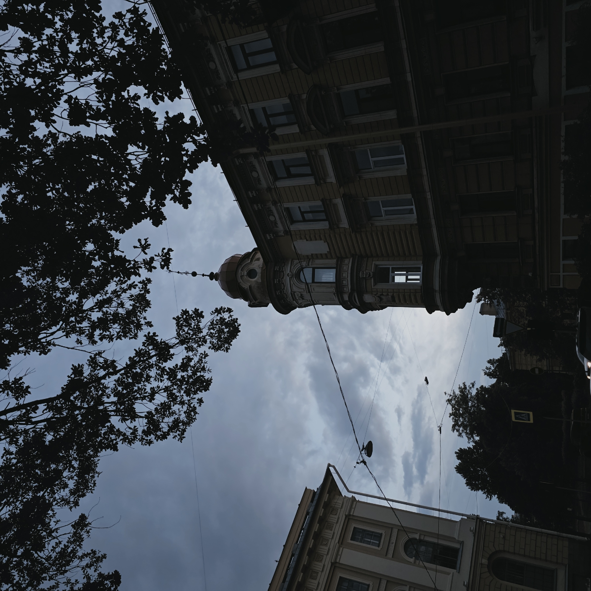 The image captures an overcast sky over a street scene in Saint Petersburg, Russia, with silhouetted tree branches in the foreground. Two buildings are visible: one on the left is lighter in color with ornate cornices and arched windows, while the building on the right is darker, featuring a prominent turret with a domed roof and elaborate architectural details. Overhead, electrical wires and streetlights are strung across the sky, contributing to the urban setting. Trees and a pedestrian crossing sign are visible in the background. The overall mood is somber, perhaps due to the cloudy weather and the dark tones of the buildings.