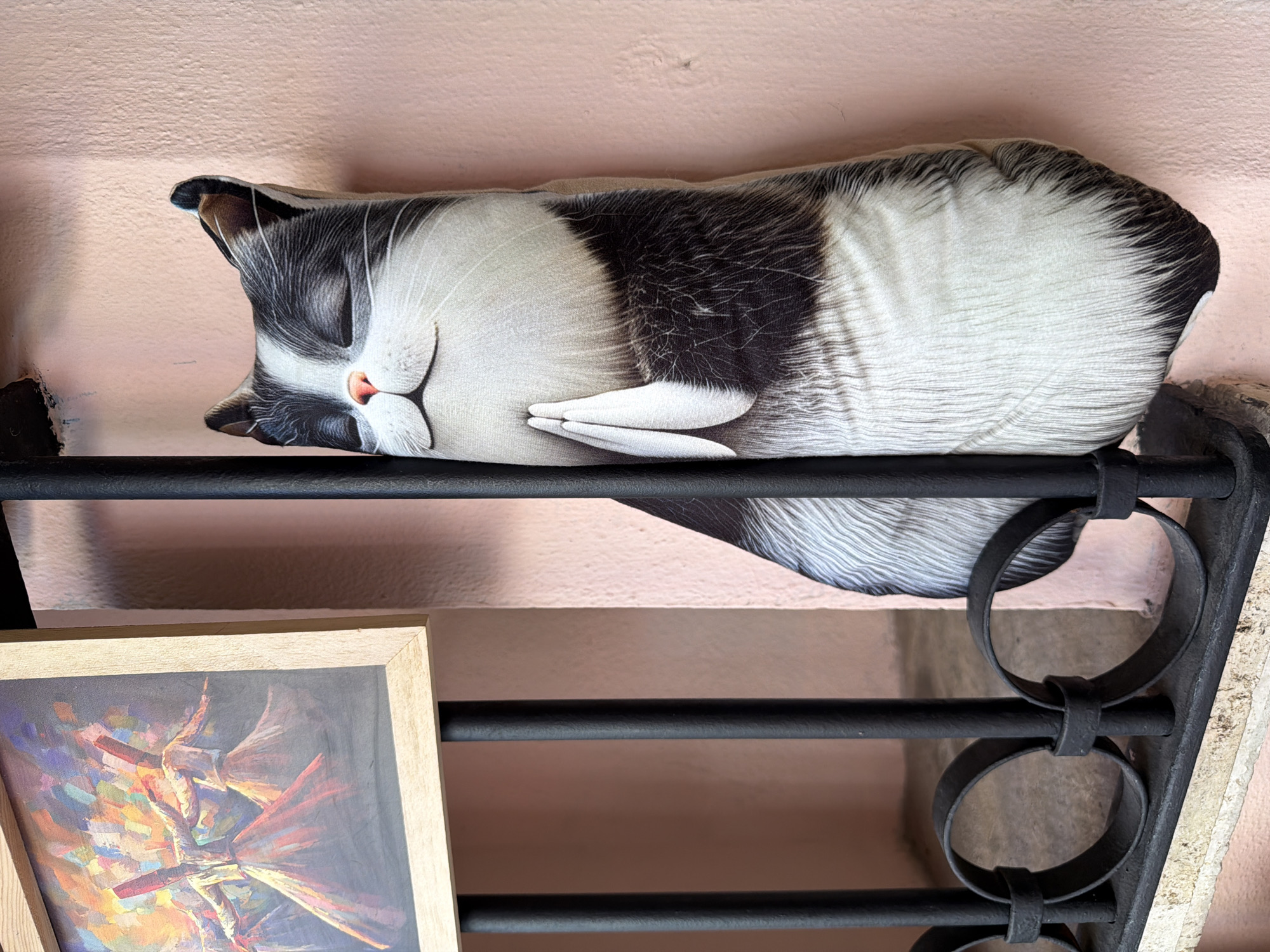 In Istanbul, Turkey, a black and white cat plush toy with its eyes closed and paws pressed together in a praying gesture is leaning against a pink wall, partially obscured by a black metal grate. To the left of the plush toy, a framed painting depicting two figures in traditional Sufi whirling attire is visible, also leaning against the grate. The grate is made of thick, round black metal bars with decorative loops. The wall has a textured, slightly uneven surface. The ground beneath the grate appears to be stone or concrete.