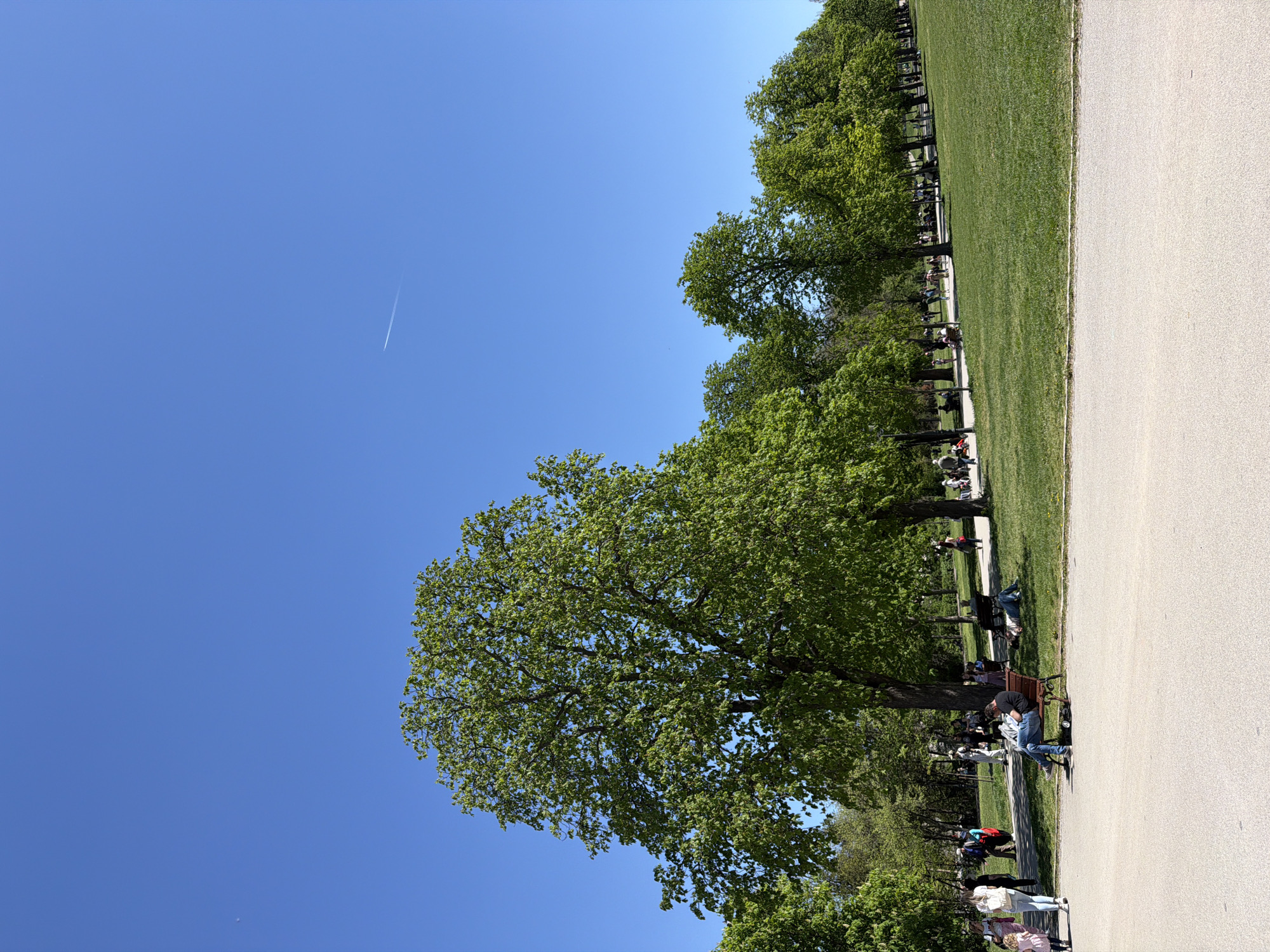 The image shows a section of a park in Sofia, Bulgaria, likely Borisova Gradina Park, given its popularity and characteristics. A clear blue sky is visible above. A thin contrail from an airplane cuts across the sky. In the foreground, a large tree with dense green foliage is prominent. To the right of the tree, a strip of green grass stretches into the distance, bordered by a pathway on the right. People are scattered along the edge of the grass, some seated on benches under the shade of trees. Some individuals are walking along the path, while others are lounging on the grass. The overall scene suggests a calm and relaxed atmosphere.