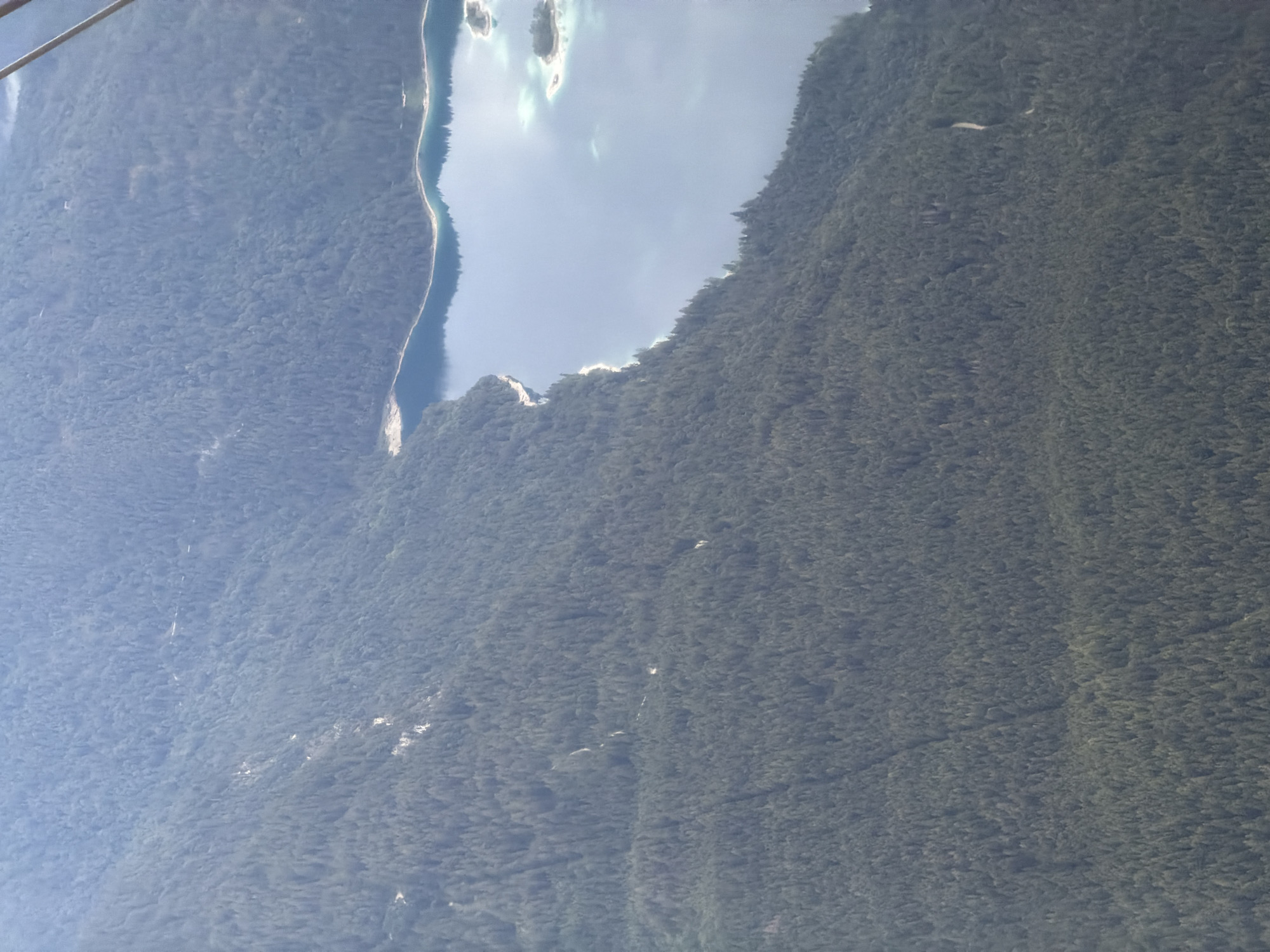 The image displays an aerial view of a densely forested mountain slope leading down to a serene, blue lake. The forest is comprised of numerous coniferous trees, creating a textured canopy that covers the undulating terrain. A sinuous shoreline marks the boundary between the forest and the water. The lake itself is expansive, with areas of lighter turquoise indicating shallower regions or sunlight reflecting off the water's surface. Two small, tree-covered islands are visible within the lake, adding to the scenic landscape. The overall impression is one of natural beauty and tranquility. This scene is likely a part of the area surrounding the Zugspitze mountain in Grainau, Germany, known for its alpine lakes and extensive forests.