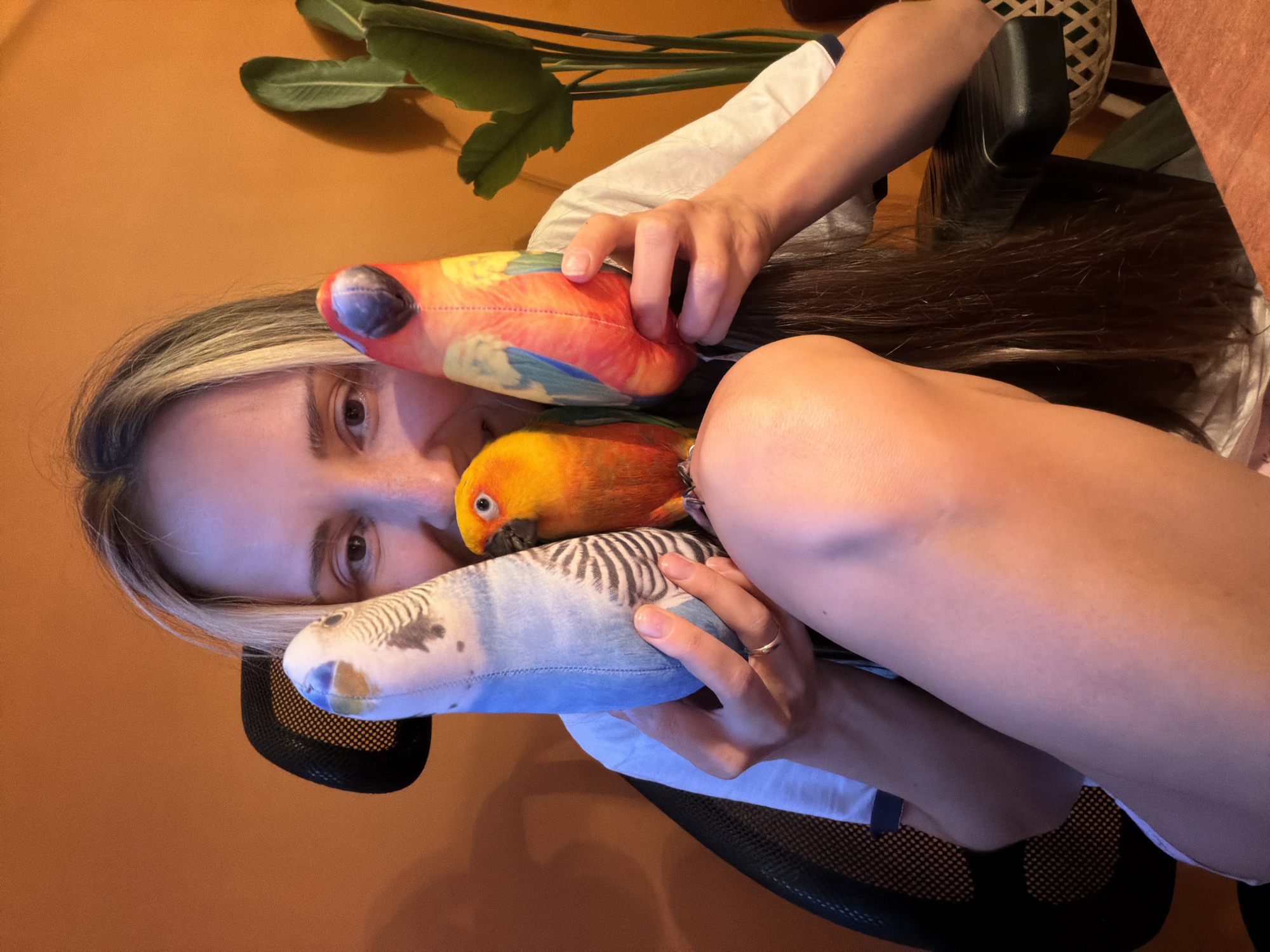 A young woman with blonde hair pulled back sits in an office chair, holding three stuffed parrots. One parrot is blue and white with stripes, another is yellow and orange, and the third is red, yellow, and blue. The woman is wearing a white t-shirt with blue trim. Her legs are crossed, and her right leg is propped up on her left knee. The background is an orange wall with a large green plant on the right side of the image. There is also a glimpse of a wooden desk in the foreground. The scene appears to be indoors, likely in a home office. There is no discernible information about the city of Khimki, Russia within the image itself.