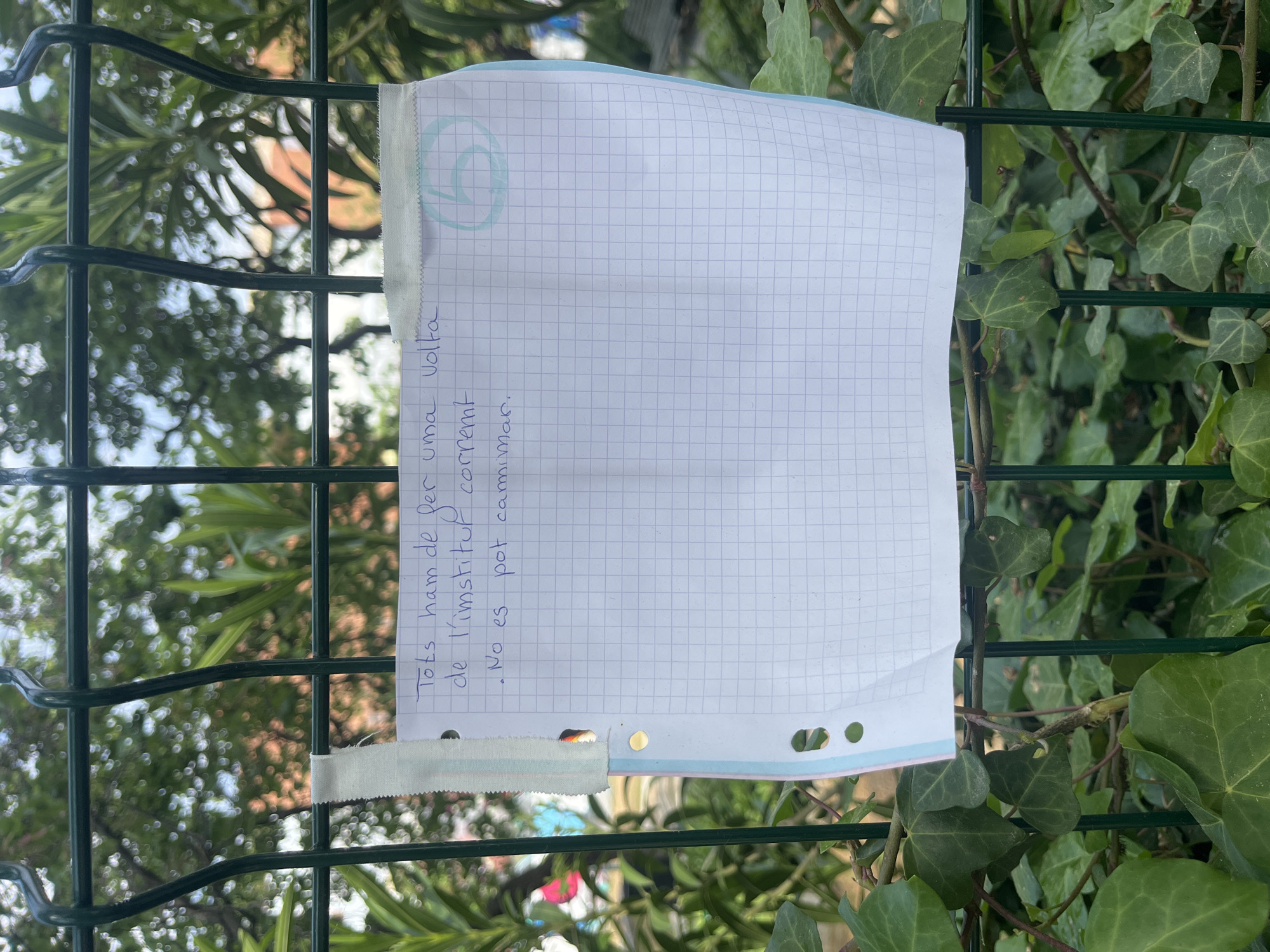A photograph captures a handwritten note, secured with a strip of fabric, to a green wire fence amidst dense greenery, potentially ivy. The note, written in Catalan on squared paper, reads: "Tots ham de fer uma volta de l'imstitup corremt. No es pot carmimar." It translates to: "We must all take a lap around the institute. You can't walk." The fence and foliage suggest a location possibly near a schoolyard or a park area. The composition lacks any discernible human presence, directing focus to the sign itself and its immediate surroundings. The location is likely within Barcelona, Spain, given the language of the note.
