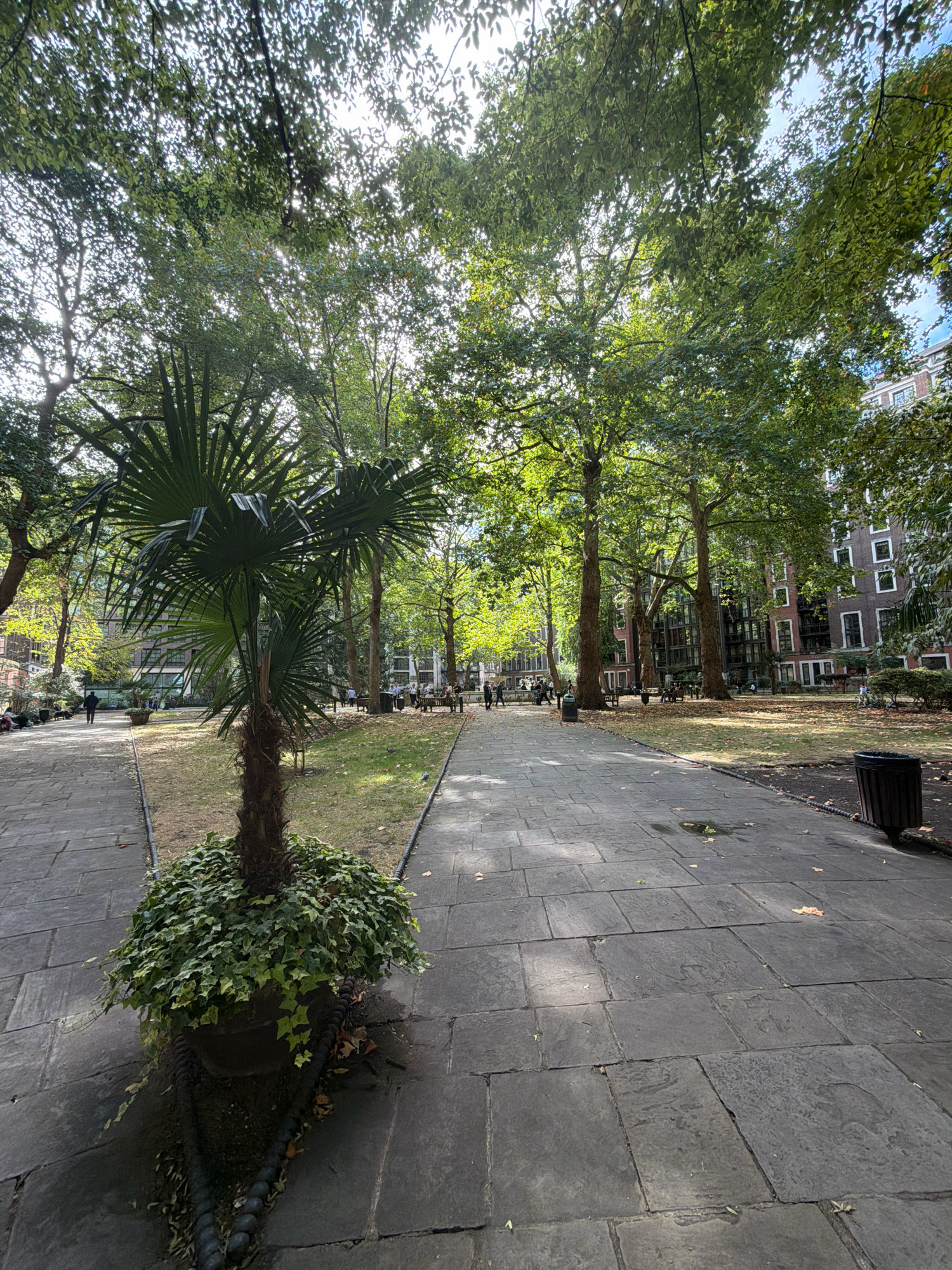This is a full-shot, eye-level, outdoor photograph taken in a London city park. In the foreground, a stone pathway is visible, with a large planter containing a palm tree surrounded by ivy on the left. The pathway leads into a grassy area with trees and park benches. Several people are scattered throughout the park, some sitting on benches and others walking. In the background, brick buildings with numerous windows are visible, suggesting an urban environment. The sunlight filters through the leaves of the trees, creating dappled light and shadows on the ground. The overall scene depicts a peaceful and serene park setting within a bustling city.