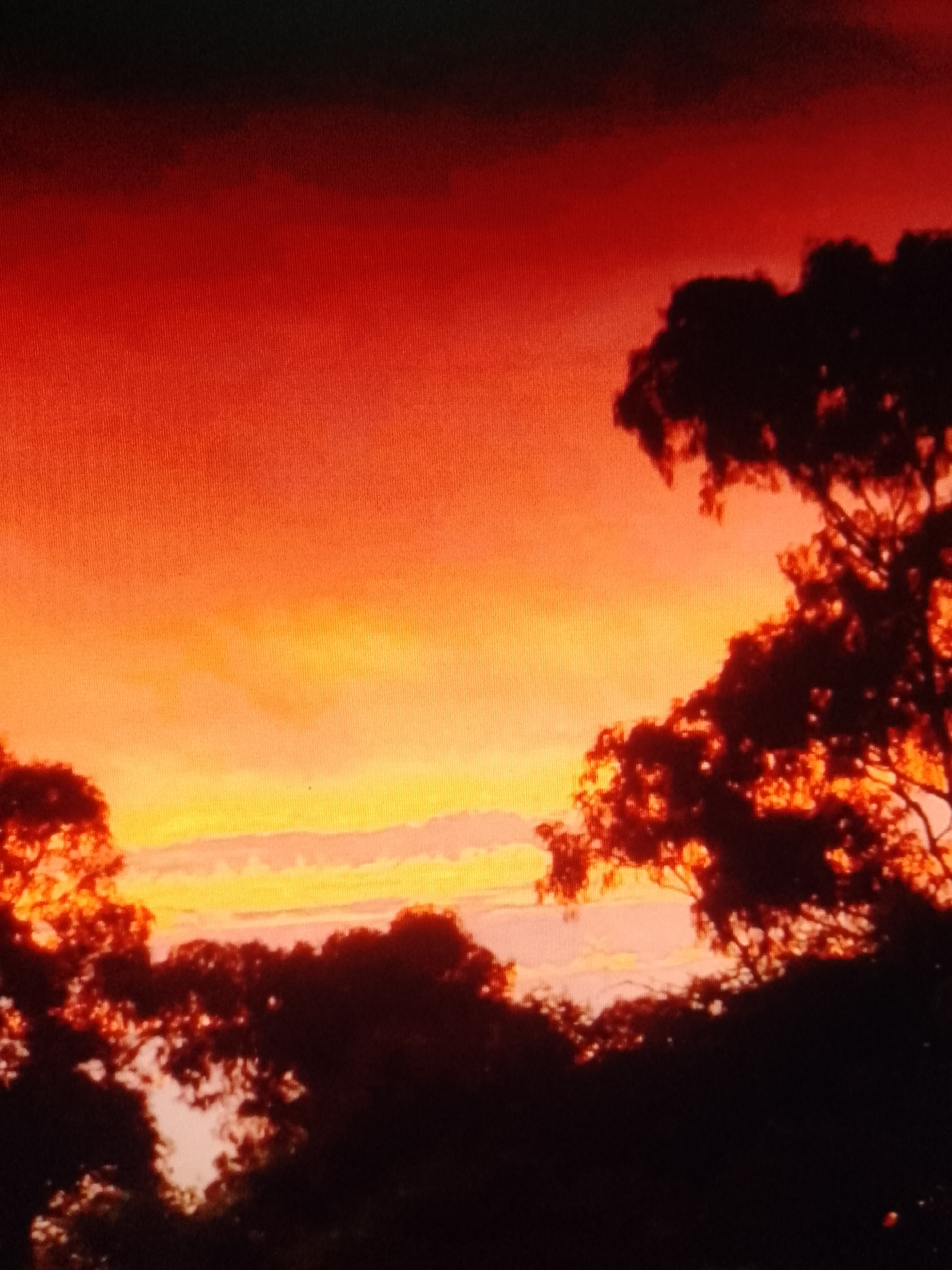 The image shows a vivid red and orange sunset sky over what appears to be a silhouetted treeline. The location is unknown. The lighting conditions suggest either sunrise or sunset. There are no visible people or interactions. The environment consists of trees silhouetted against the colorful sky.