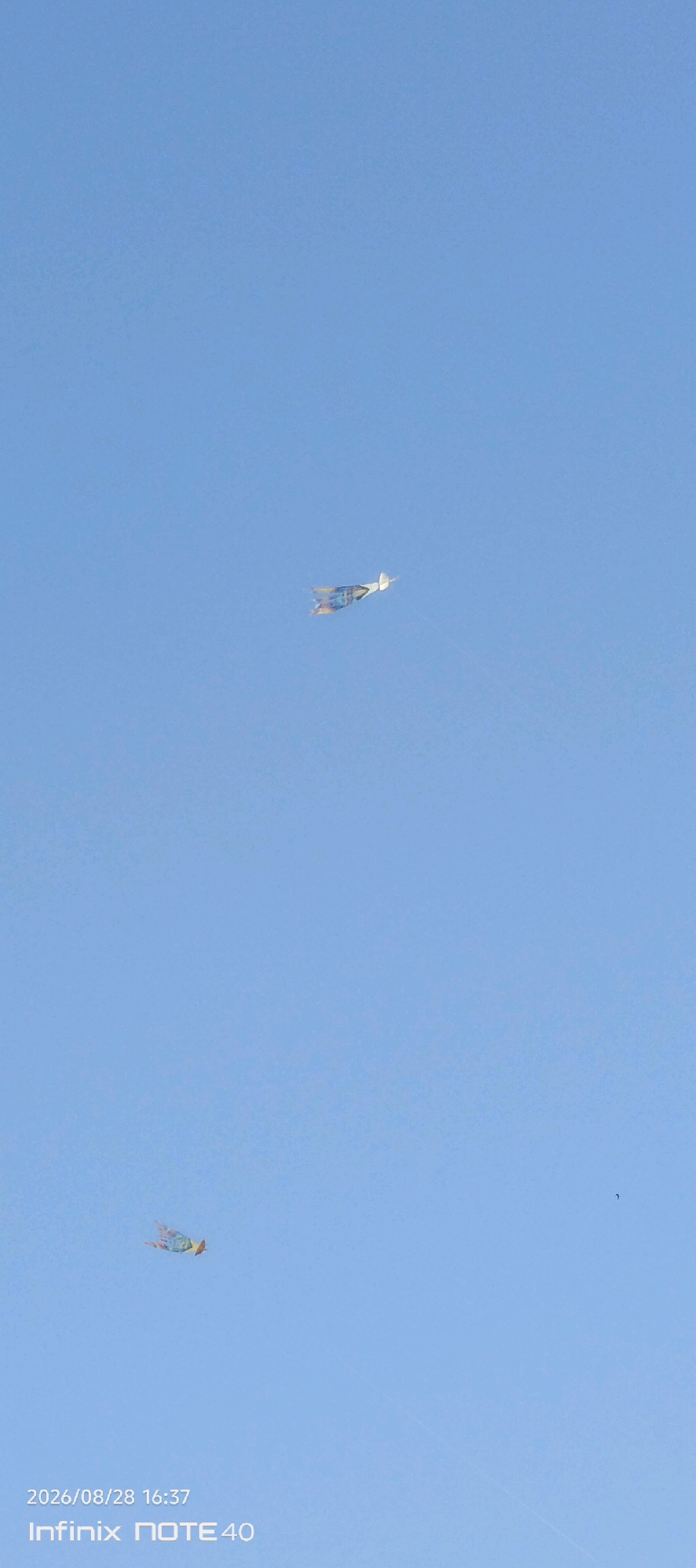 Two kites are visible in the sky. One kite is closer to the center of the image and appears to be a stylized bird or dragon shape with colorful wings. It is white with blue, yellow, and orange accents. The second kite is lower and to the left, also appearing to be a colorful kite with wings. Both kites are in flight against a clear blue sky. A timestamp in the lower left corner reads "2026/08/28 16:37", and below that, "Infinix NOTE 40". The scene is consistent with an outdoor activity in a location like Sidodadi, Indonesia, where kite flying is a popular pastime.