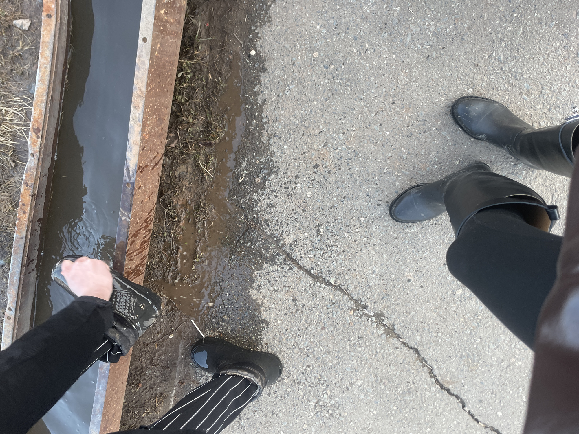 The image shows a view from above of a person in black and white striped pants and black boots washing another boot in a metal trough filled with water. Another person wearing black pants and dark-colored rubber boots is standing on a paved surface. The paved surface is cracked in one spot. There is mud, vegetation, and water at the edge of the pavement near the trough. The scene is taking place outdoors in Подшивалово, Russia.