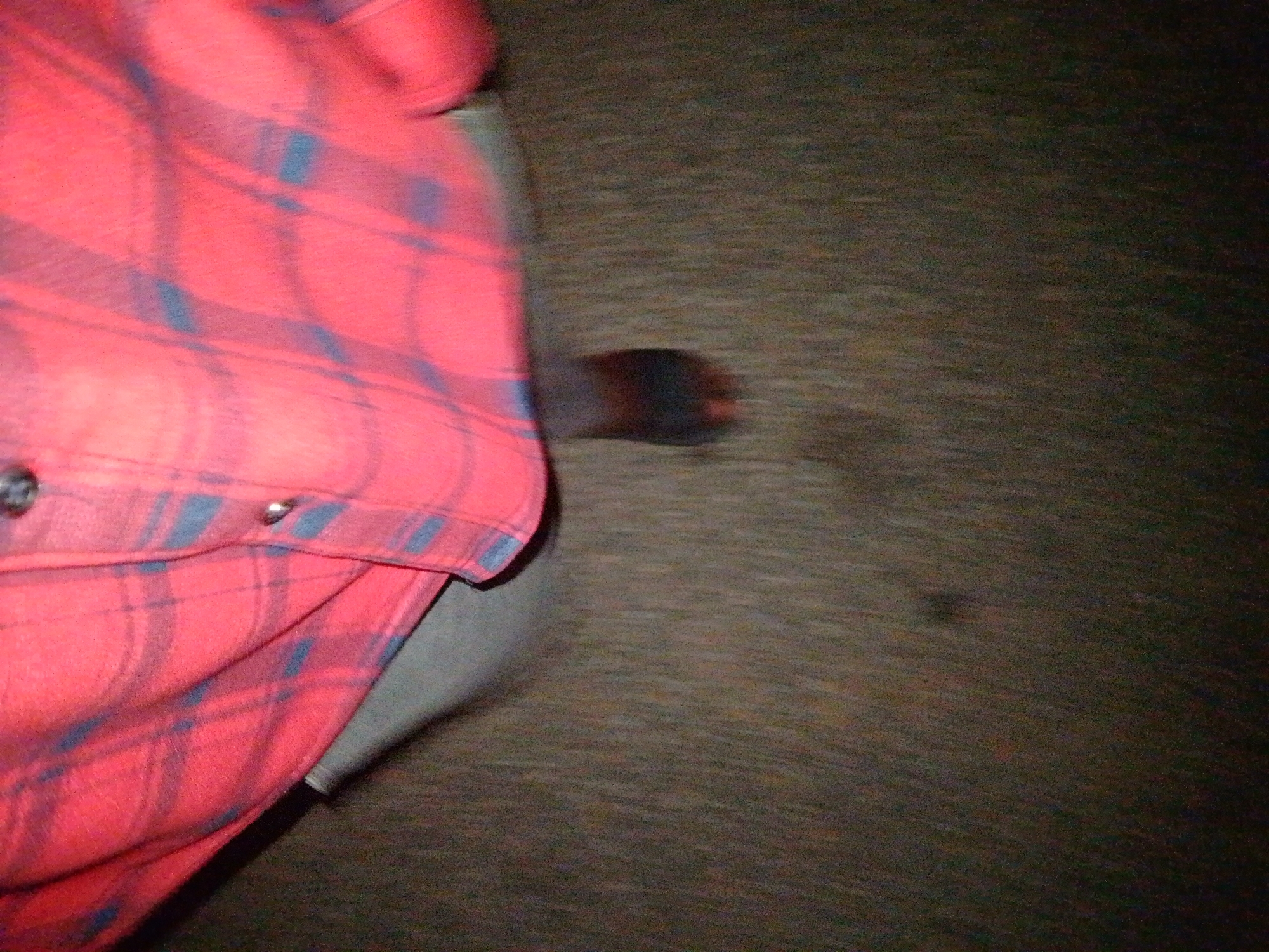A close-up, waist-level shot captures a person's torso and legs, positioned on a dark, textured surface, possibly asphalt or concrete. The individual is wearing a red and blue plaid long-sleeved shirt, partially unbuttoned, revealing a grey undergarment. A dark object, appearing to be a shoe or boot, is visible near the bottom right of the frame, casting a slight shadow. The background is blurred, suggesting motion or a shallow depth of field, and is a dark, mottled brown color, consistent with an outdoor urban environment. No specific landmarks in Jalingo, Nigeria, are identifiable from this perspective.
