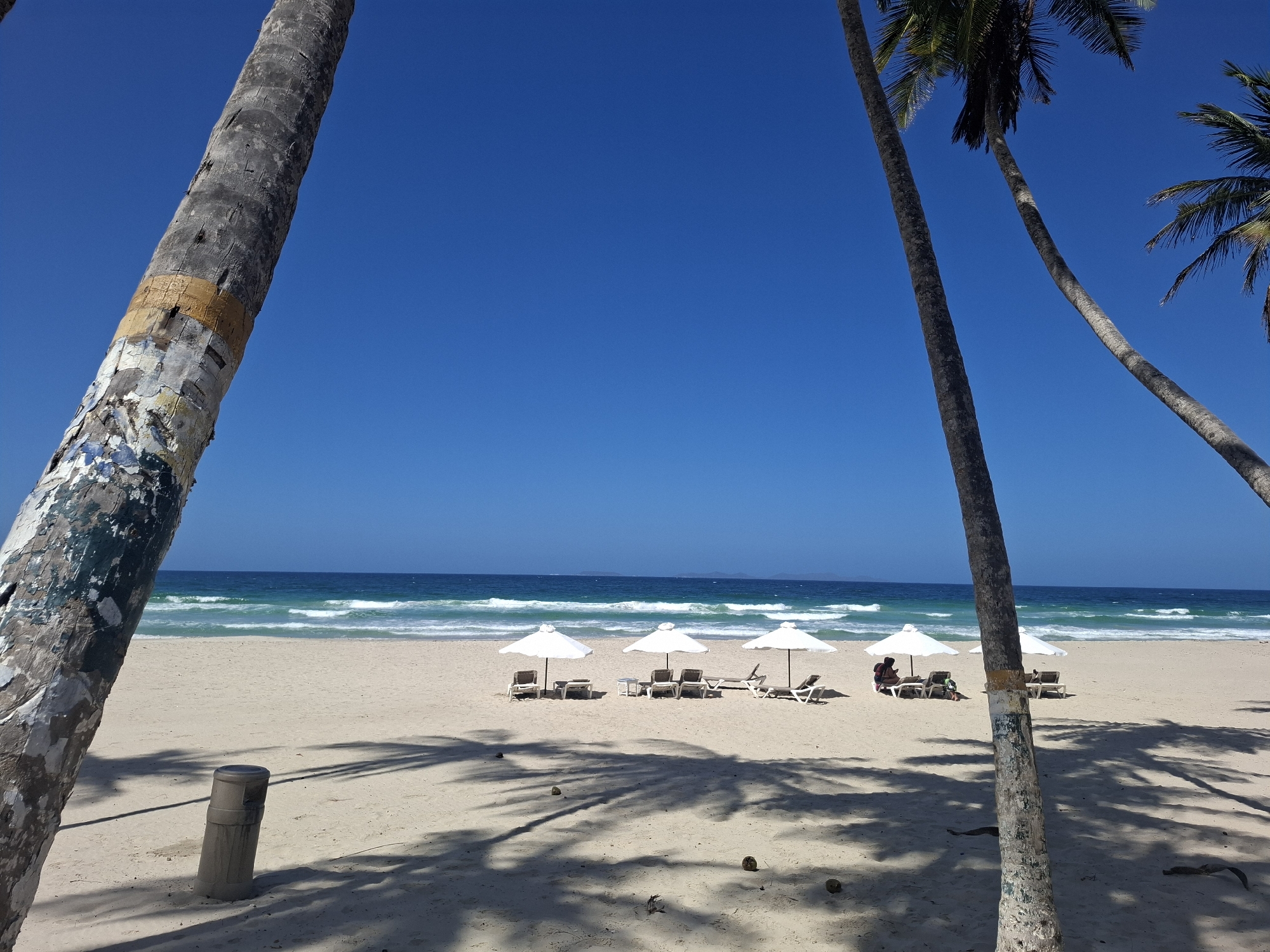 This image captures a bright, sunny day at a tropical beach, identified as Playa El Agua in Venezuela. The scene is framed by the trunks of two prominent palm trees, one on the left foreground exhibiting peeling bark and a band of tan tape, and another slender one on the right. Both cast distinct, dark shadows of their fronds across the light, sandy beach, indicating the strong mid-day sun.
In the mid-ground, a neat row of five white beach umbrellas provides shade for several lounge chairs. One person is clearly visible sitting on a lounge chair under the umbrella furthest to the right, facing the ocean. The calm, turquoise-blue ocean stretches out beyond the sandy shore, with gentle waves breaking near the beach. The water gradually deepens to a richer blue towards the horizon, where faint landmasses are visible in the distance. The sky above is a vast expanse of clear, vibrant deep blue, completely free of clouds.
Other objects on the beach include a grey, cylindrical trash can situated in the lower-left foreground, partially in shadow, and a few dark, round objects resembling fallen coconuts scattered on the sand in the mid-ground. The overall atmosphere conveys a sense of peaceful relaxation and a warm, idyllic vacation setting. No legible text is discernible within the image.