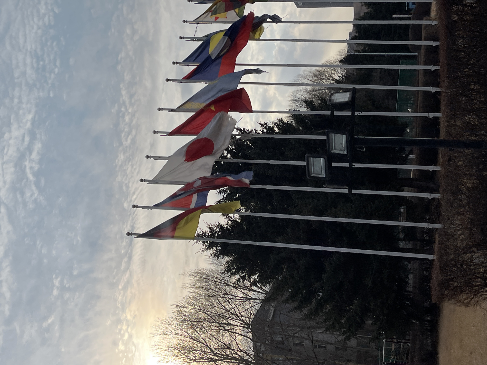 The image shows a series of flags lined up on flagpoles. The flags are various national flags, though specific countries are not entirely clear from the image alone. The flags are against a backdrop of trees and sky. In the lower part of the image, a building is partially visible. The time appears to be morning or late afternoon given the quality of light in the sky. Given the location context, it is likely the flags are at an international institution or park in Changchun City, China.