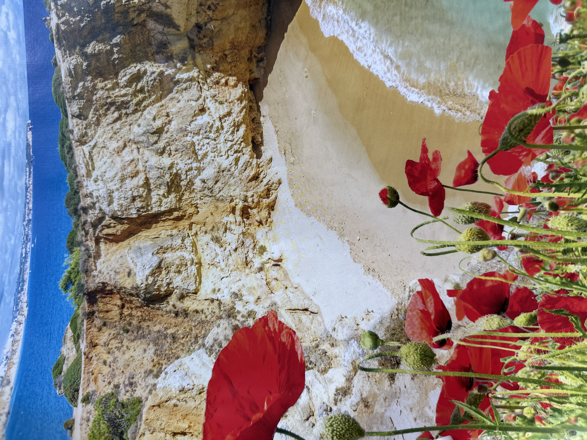 The image depicts a scenic coastal landscape with a sandy beach, cliffs, and the ocean. In the foreground, there are numerous vibrant red poppies with green stems and seed pods. The cliffs are a mix of sandy and rocky textures, with some vegetation growing on top. The ocean is a clear blue, with gentle waves lapping at the shore. In the distance, a coastline with buildings and a body of water can be seen under a blue sky with scattered clouds.
This image does not depict the city of Novokuznetsk, Russia. Novokuznetsk is an industrial city located in Siberia, far from any coastal region with cliffs and poppy fields like the one shown. The landscape in the image is characteristic of a Mediterranean or similar temperate coastal environment.