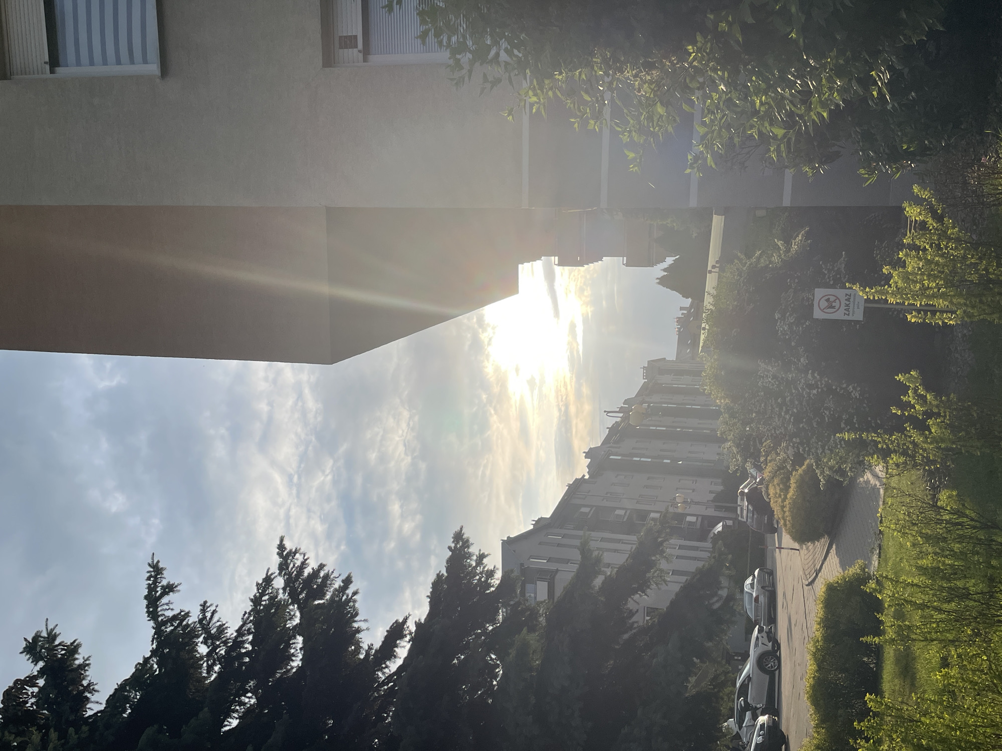 The image, rotated 90 degrees clockwise, depicts a sunlit residential area. In the foreground (which would be the bottom if correctly oriented), dense coniferous trees are visible, with their dark green foliage contrasting against the bright sky.
Looking across the scene, a paved area with several parked cars, including a white SUV and a silver sedan, stretches along what appears to be a street or parking lot. Beyond this, a series of multi-story apartment buildings with numerous windows and balconies line the street. In the mid-distance on the right, other residential structures rise under the bright sky.
On the left side of the frame, a large, light-colored building with horizontally slatted window blinds stands tall, partially obscuring the view of the sky and acting as a frame for the intense sunlight. The sun, low in the sky, is exceptionally bright and creates a prominent lens flare and a warm, golden glow across the clouds and parts of the scene. The sky itself is partly cloudy, with scattered white and grey clouds.
Amidst the greenery on the mid-right, a circular white sign with a red border and a diagonal line, typically indicating a prohibition, is visible. It shows a graphic of a dog on a leash and bears the text "ZAKAZ wyprowadzania psów". This translates from Polish to "No dog walking."
The time of day appears to be either early morning or late afternoon due to the low angle of the sun and the long, soft light it casts. The overall impression is one of a peaceful, quiet urban or suburban neighborhood.