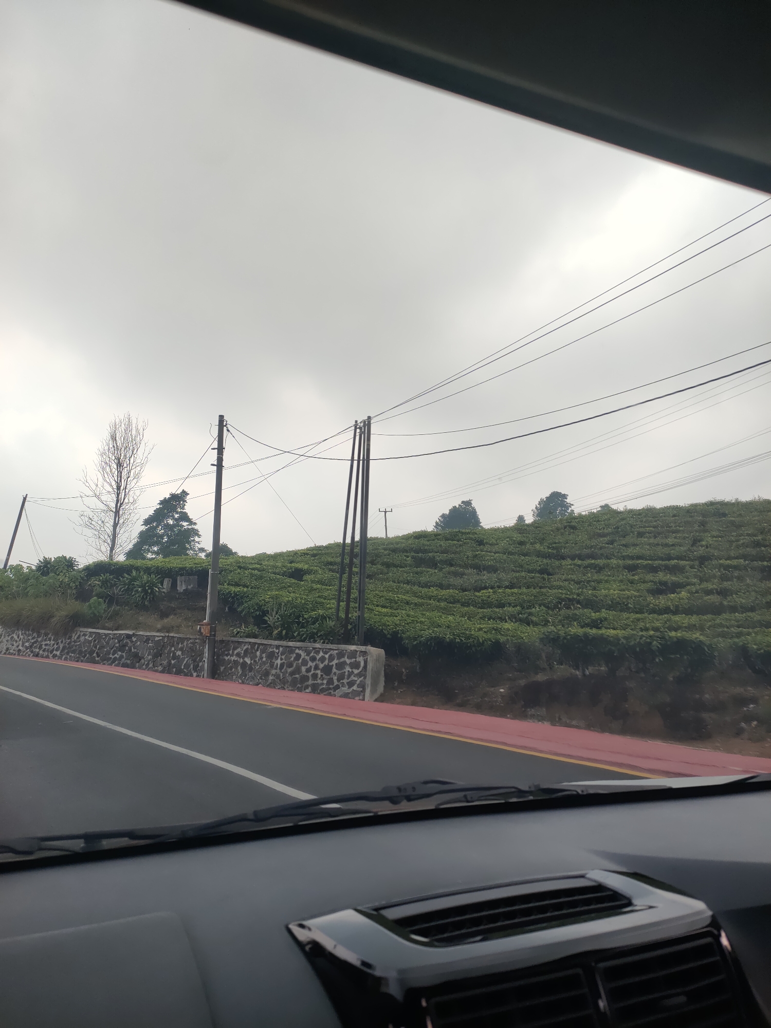 The image shows a view from inside a vehicle, looking out at a road and a tea plantation. The road is paved and has a white line marking. There is a red and yellow border along the edge of the road. A stone wall runs alongside the road, supporting a grassy embankment. Beyond the embankment, a vast tea plantation covers a hillside, with neat rows of green tea bushes stretching across the landscape. Several utility poles with overhead power lines are visible against a hazy, overcast sky. In the background, there are trees, including a tall, bare tree on the left and several dark green trees on the right. The sky is uniformly gray, suggesting cloudy weather. The interior of the vehicle is partially visible in the foreground, with the dashboard and windshield wipers evident. The scene appears to be a rural or semi-rural setting, likely in the highlands of Subang, Indonesia, known for its tea plantations. There are no people or animals visible in the image. The overall impression is one of a scenic drive through a cultivated landscape on a cloudy day.
