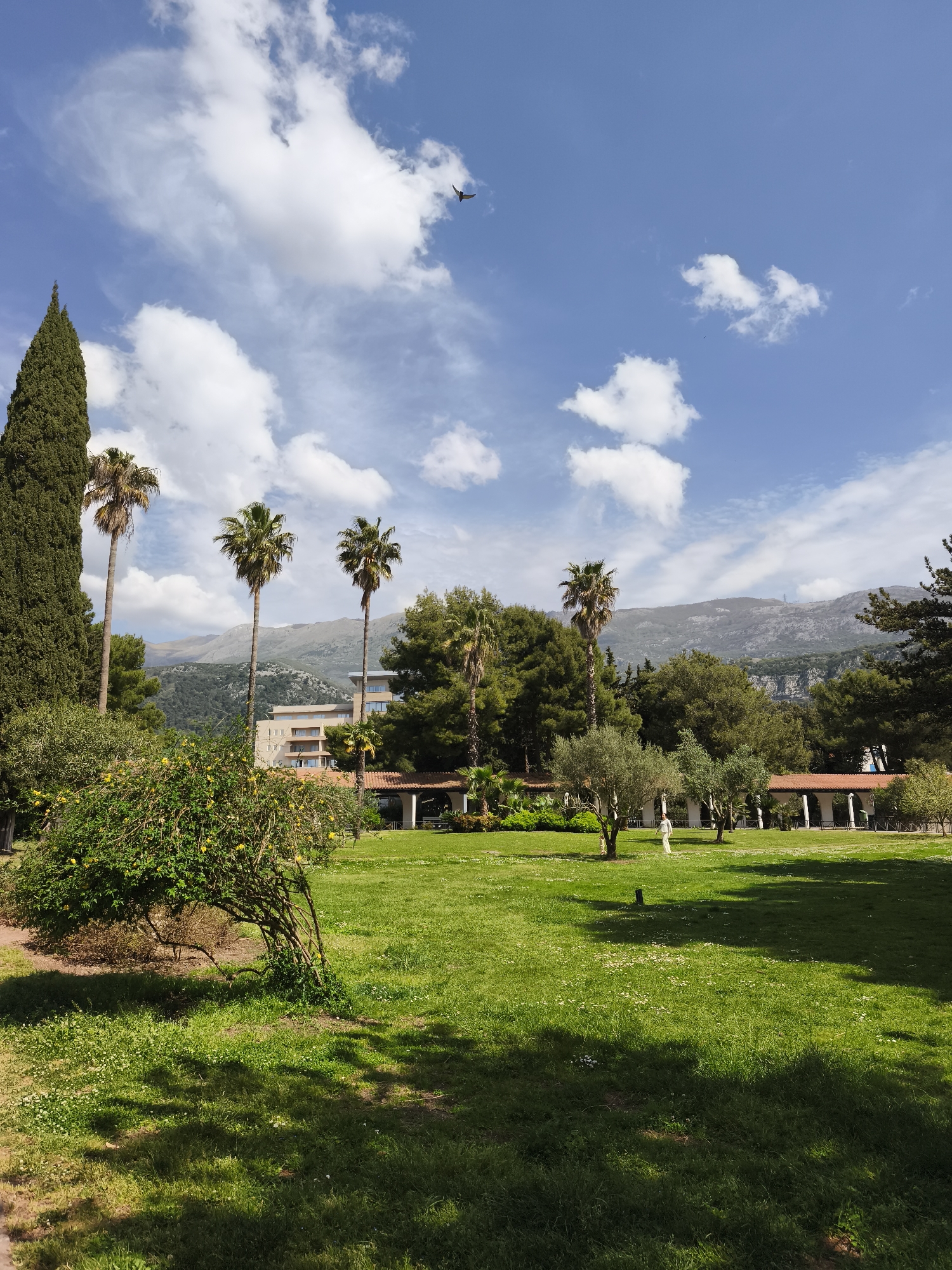 The image shows a park-like setting with a green lawn, trees, and a building with a red roof in the background. Tall trees are scattered throughout the area, including a cypress tree and several palm trees. The sky is blue with scattered clouds. A mountain range is visible in the distance. A bird is flying in the sky. The location is Unknown, Unknown.