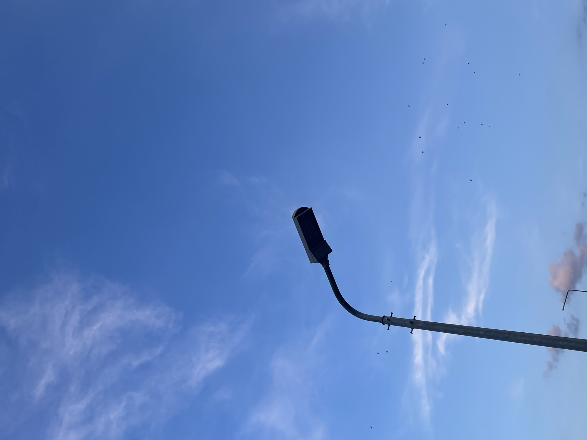 The image shows a bright blue sky with wispy white clouds and several small birds in flight. In the foreground, a tall, grey metal lamppost extends from the bottom left of the frame upwards and curves to the right, supporting a dark, rectangular lamp fixture. Towards the bottom right of the image, another, shorter lamppost is visible. The scene appears to be outdoors, possibly in a park or along a street, given the presence of the lampposts. The overall impression is one of an open, airy environment under a clear sky.