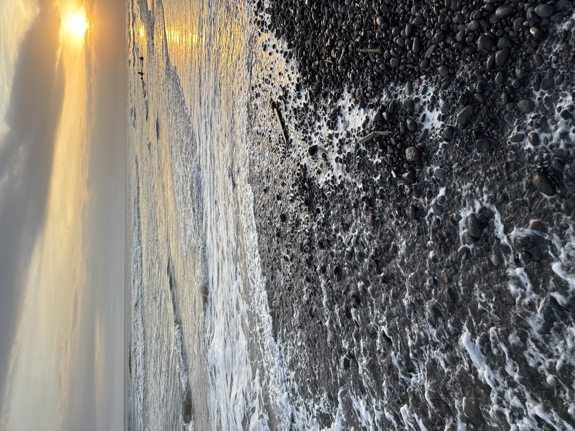 The image depicts a shoreline at sunset. The beach is composed of dark, smooth stones mixed with sea foam from the incoming waves. The water reflects the golden light of the setting sun. There are pieces of driftwood scattered among the stones. In the distance, silhouettes of what appear to be birds can be seen on the water's edge. The sky is a blend of grey and yellow clouds, with the sun visible on the left side of the frame. The specific location within the city of Unknown, Unknown is not identifiable from the image.