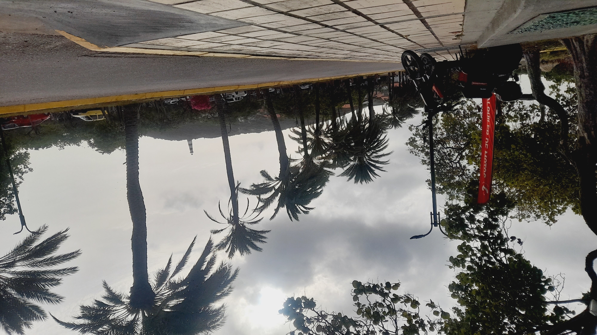 A low-angle, wide shot captures a sidewalk lined with palm trees in Pedro González, Venezuela. A black scooter is parked on the tiled sidewalk, next to a red banner that reads "ALQUILER DE MOTOS" (Motorcycle Rental). The road runs parallel to the sidewalk, with a yellow line marking its edge. Several cars are visible parked along the roadside and driving on the road in the distance. A lighthouse stands atop a hill in the background, and the sky is overcast.