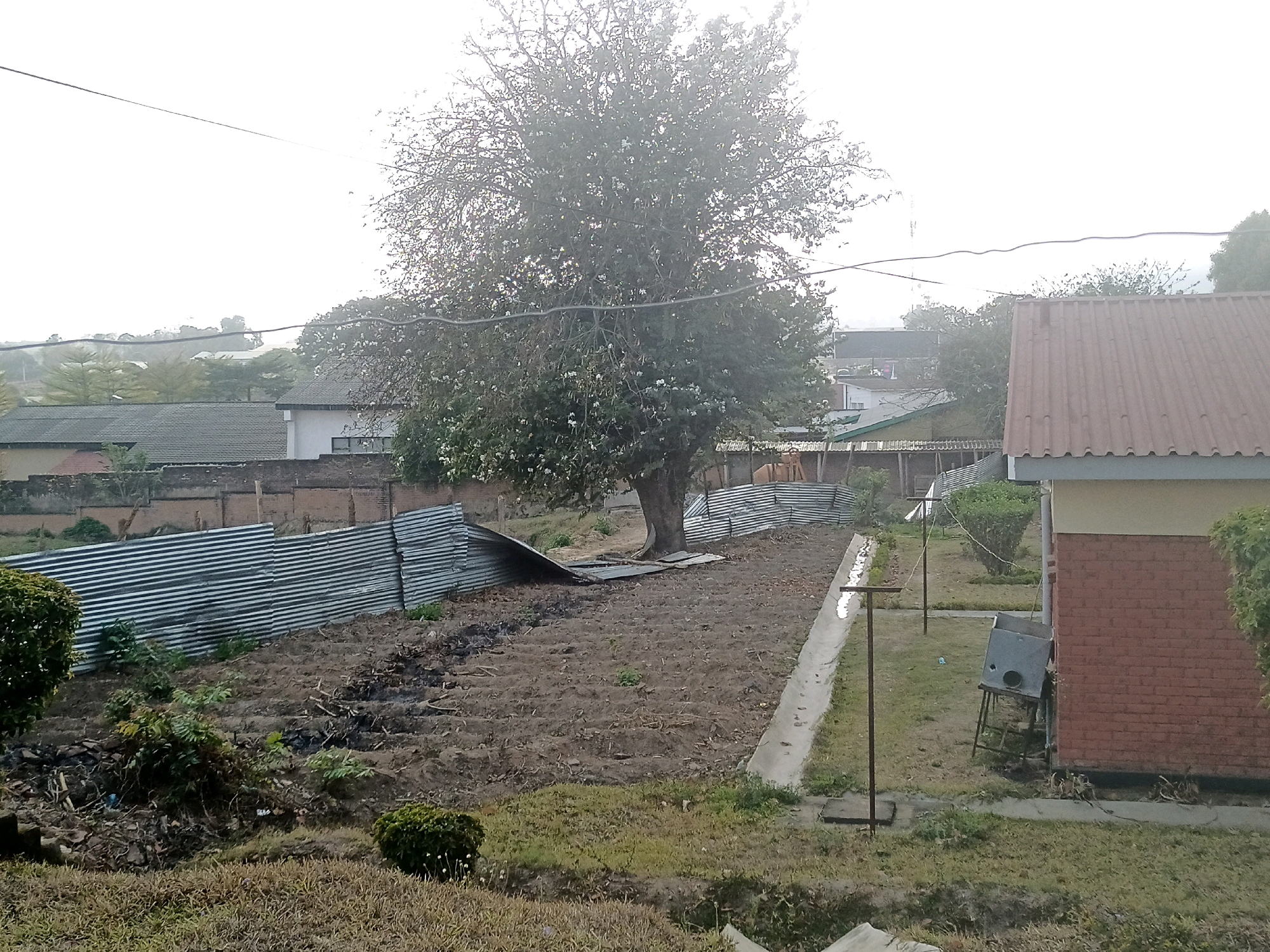 In Limbe, Malawi, a view of a backyard garden area shows a large, leafy tree in the center, surrounded by cultivated soil and dry grass. A corrugated metal fence, partially collapsed in one section, runs along the left side of the garden. A concrete channel or drain runs diagonally across the scene from the lower right to the upper left. To the right, a brick building with a corrugated metal roof is partially visible, with a gray, metal appliance on a stand located near its base. The sky is overcast, and the overall impression is one of a simple, rural or semi-rural residential setting.