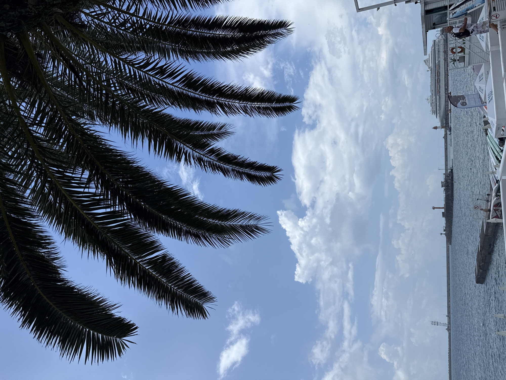 The image shows a view of the Black Sea port in Sochi, Russia, on a cloudy day. In the foreground, the fronds of a palm tree hang over the scene, obscuring the upper portion of the sky. The sea is calm and a light gray. In the middle ground, a long pier extends into the sea, with a tall radio tower visible on the left and a lighthouse with an orange top on the right. Further out in the bay, a large cruise ship is docked. On the right side of the image, a white building with a balcony overlooks the water. A man with a backpack is standing on the balcony, and several surfboards are stacked on the deck below. The sky is partly cloudy with scattered white cumulus clouds.