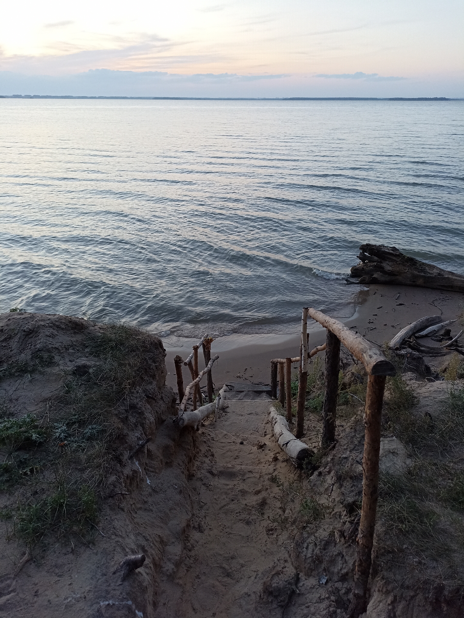 The image depicts a natural scene at dusk with a wooden staircase descending a sandy embankment towards a body of water. The sky is a pale gradient of colors, transitioning from soft pinks and oranges near the horizon to a muted blue overhead, with wispy clouds present. The water, likely a lake or calm sea, exhibits gentle ripples and reflects the soft light of the fading day. Along the shoreline, several pieces of driftwood are visible, including a large, prominent log. The embankment itself is composed of soil and sand, with sparse vegetation growing on its surface. The wooden staircase is rudimentary, constructed from rough-hewn logs and branches, with a simple railing on one side. The overall impression is one of a tranquil, natural setting on the outskirts of Zavyalovo, Russia, likely a beach or a lakeshore. No people are visible in the frame, and the scene is static.