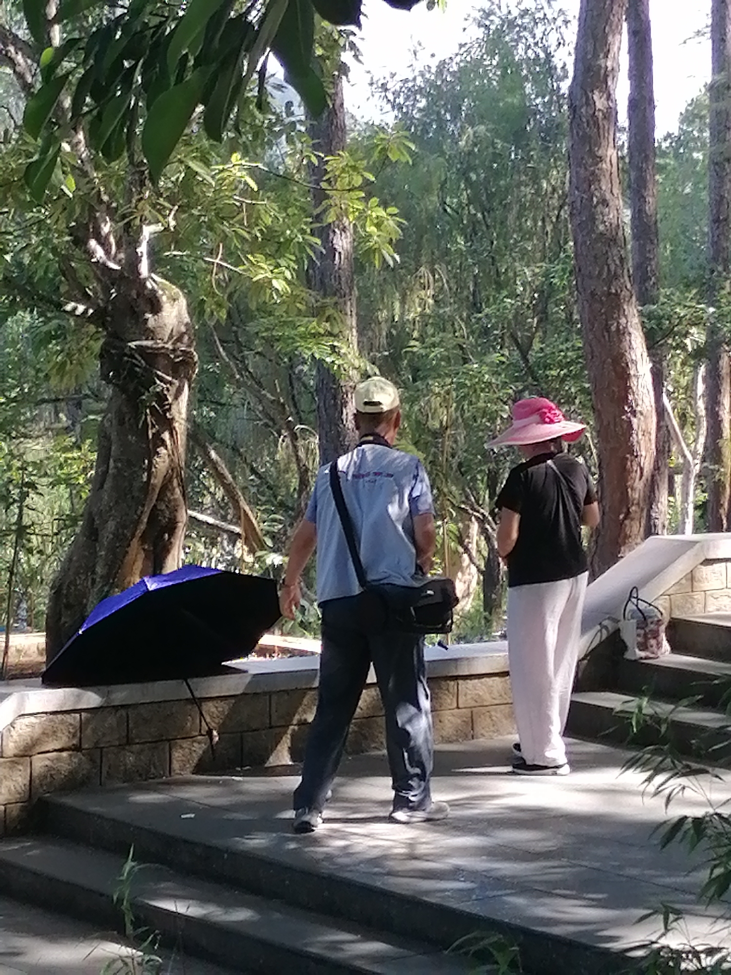 The image depicts two individuals on a paved walkway with stone retaining walls and a staircase, situated in a natural, tree-filled environment. The scene is likely located in Da Lat, Vietnam, given the prevalence of lush vegetation and the architectural style of the retaining walls, which are reminiscent of those found in the city's parks and public spaces.
On the left, a person wearing a light blue shirt, dark pants, and a light-colored baseball cap is seen from behind. They are carrying a black bag with a strap over their shoulder and holding a large, open blue and black umbrella. Their posture suggests they may be walking or pausing.
To the right, another person, also viewed from behind, is wearing a black short-sleeved shirt and loose white pants. They are wearing a wide-brimmed pink hat adorned with a flower. This individual appears to be standing still, looking towards the right.
The background is dominated by tall trees with textured bark and dense green foliage, suggesting a park or a natural reserve setting. Sunlight filters through the leaves, creating dappled shadows on the ground and the stone structures. The overall atmosphere is one of a serene, outdoor location. A white bag with a floral pattern is visible on the steps to the right of the person in the pink hat.