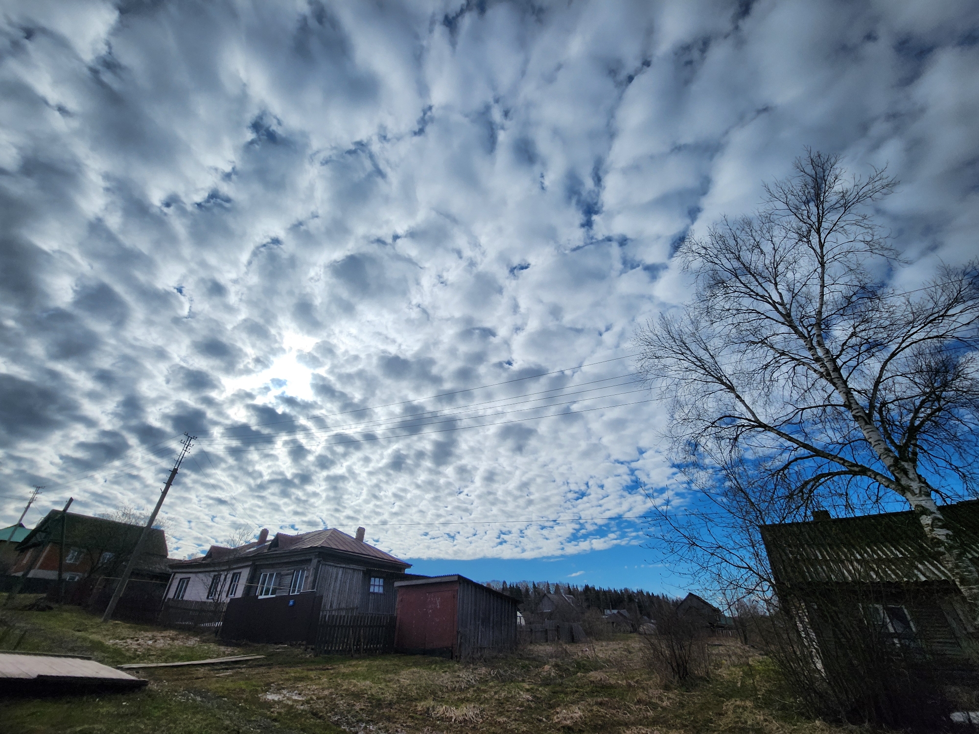 The image depicts a rural scene in Krasnogorskoye, Russia. In the foreground, dry grass covers the ground. Several wooden structures, including houses and sheds, are scattered across the landscape. A birch tree with bare branches stands prominently on the right side of the image. The sky is filled with altocumulus clouds, with patches of blue sky visible in between. The overall lighting suggests it is daytime, though the sun is obscured by the clouds. The buildings appear to be old and somewhat dilapidated. There are no people visible in the image.