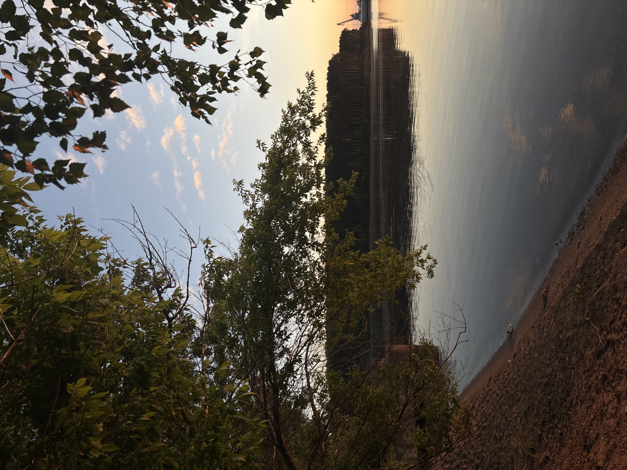 The image depicts a serene waterfront landscape, likely along the Kama River in Chaikovsky, Russia, during low light conditions indicative of either sunrise or sunset.
In the foreground, a reddish-brown sandy bank slopes gently down to the water on the left side of the frame. Overhanging the bank and extending across the upper left and mid-center of the image is dense green deciduous foliage and tree branches, some bare, creating a canopy that partially frames the scene. A concrete or stone structure is partially visible on the left bank, mostly obscured by the trees.
The middle ground is dominated by a wide, calm body of water, which reflects the colors of the sky and the dark silhouettes of the distant shore. The water's surface exhibits subtle ripples, particularly near the foreground bank.
On the distant shore, a dense, dark green coniferous forest stretches horizontally across the horizon. To the far right, an industrial gantry crane is prominently silhouetted against the brightly illuminated sky, positioned near what appears to be a large moored vessel, possibly a barge or cargo ship.
The upper portion of the image shows a sky transitioning from a light blue directly overhead to warm orange and pink hues near the horizon, indicative of the low sun angle. Scattered, wispy white and pink clouds are visible, particularly in the upper right quadrant. No individuals are present in the scene.