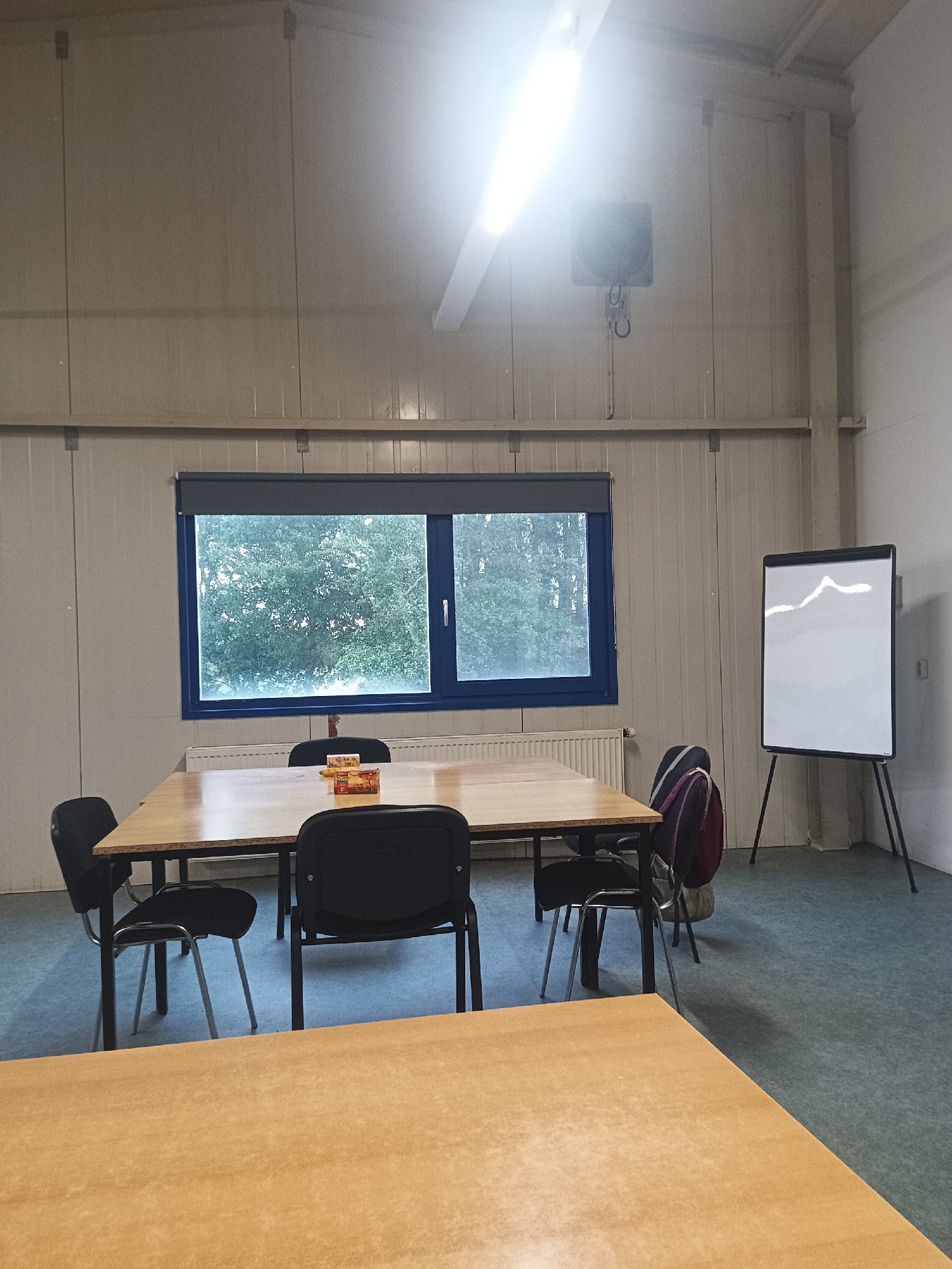 The image depicts an indoor meeting room. The room has light-colored, paneled walls and a ceiling with prominent fluorescent lighting. A large window with blue trim looks out onto green trees. In the center of the room is a rectangular wooden table surrounded by several black chairs. On the table are two small boxes, possibly food items. To the right of the table, a whiteboard on a tripod stand displays a faint, wave-like drawing. A backpack rests on one of the chairs. The floor is covered with a blue-gray carpet. The overall impression is of a functional, sparsely furnished meeting space. The image does not provide any specific visual cues to indicate it is located in Sexbierum, Netherlands.