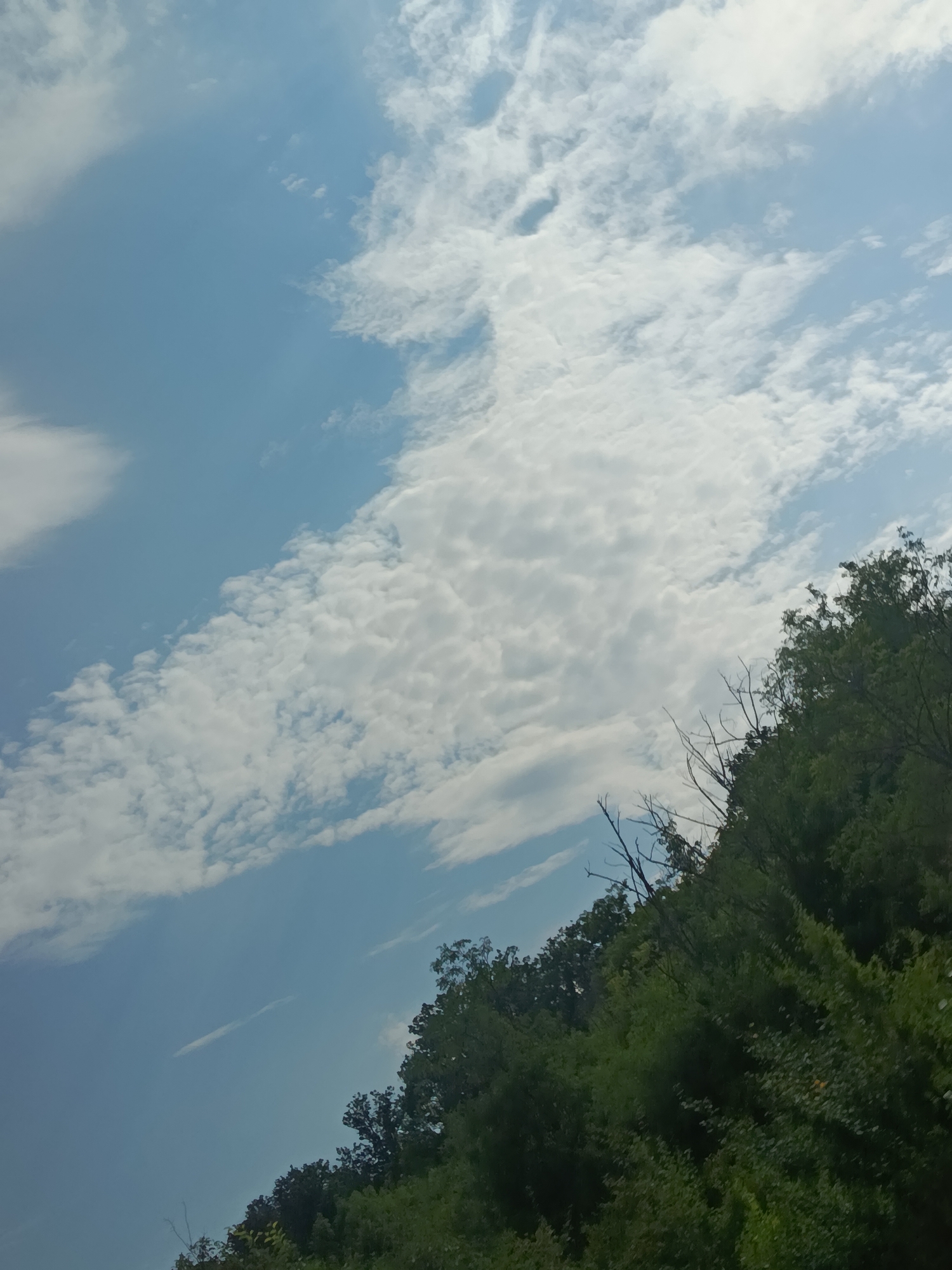 A low-angle shot captures a bright, overcast sky with scattered clouds and a lush green treeline forming a diagonal on the right side of the frame. The image appears to be taken outdoors, possibly in a rural or park setting within Razeni, Moldova, given the prevalence of vegetation. The focus is on the natural landscape, with no people or specific urban structures visible. The overall impression is one of a serene, natural environment under a partly cloudy sky.