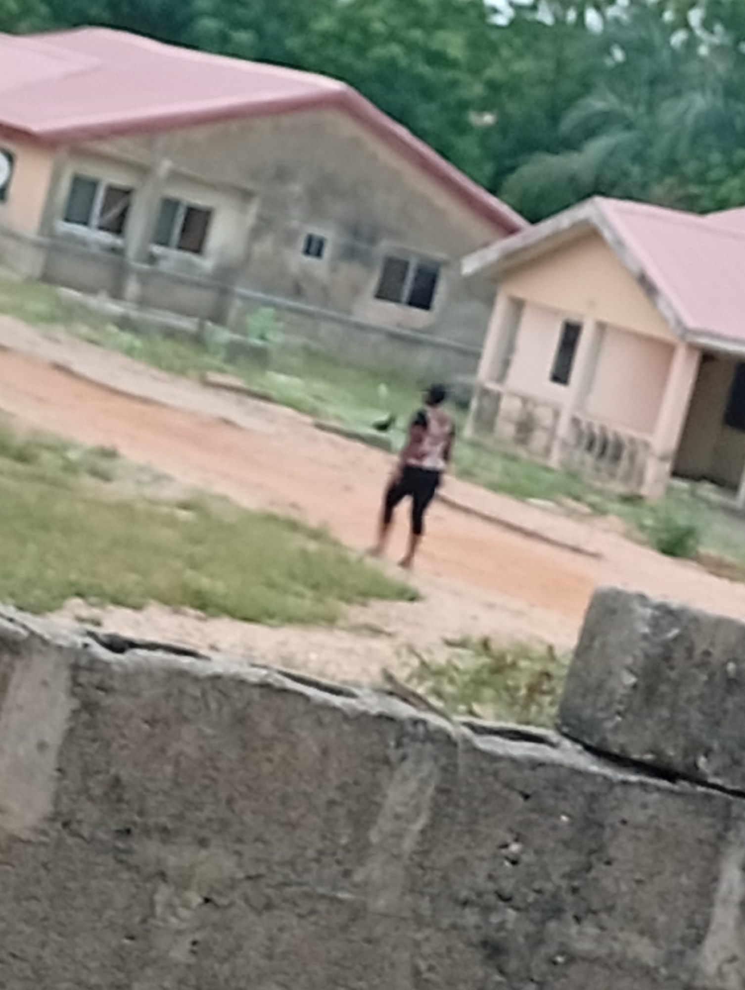 This blurry, low-resolution photograph captures an outdoor scene in Adankolo, Nigeria, likely during daytime under soft, possibly overcast, lighting conditions. In the foreground, a rough, low concrete wall made of blocks is partially visible, obscuring the ground directly in front of the camera.
A dirt path or road runs through the middle ground, bordered by patches of green grass. A lone individual is walking away from the camera along this path. The person is wearing a patterned top, possibly a t-shirt or tank top, and dark shorts or trousers. They appear to be barefoot or wearing very light footwear.
In the background, two single-story houses are visible. Both houses have reddish-orange roofs and light-colored walls, suggesting a concrete or stucco construction. The house on the left is more prominent, featuring multiple windows. The second house, to the right, is smaller and partially hidden behind the first. Beyond the houses, dense green trees and foliage are visible, indicating a vegetated environment. There are no discernible activities other than the person walking, and no visible text or strong emotional expressions. The scene depicts a typical residential or semi-rural setting.
