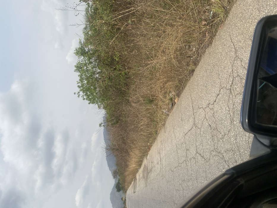 This image captures a degraded asphalt road, viewed from the interior of a dark-colored vehicle with its side mirror visible in the lower right, in Sasaro, Nigeria. The two-lane road, showing extensive cracking and minor potholes, extends towards the distant left and is bordered on the right by a strip of dry, tall, light brown grass and sparse green shrubs. Scattered plastic debris and other refuse are visible within this roadside vegetation. In the background, under a heavily overcast sky with light and dark grey clouds, a series of hazy, vegetated hills or mountains rise. No individuals are present in the scene.