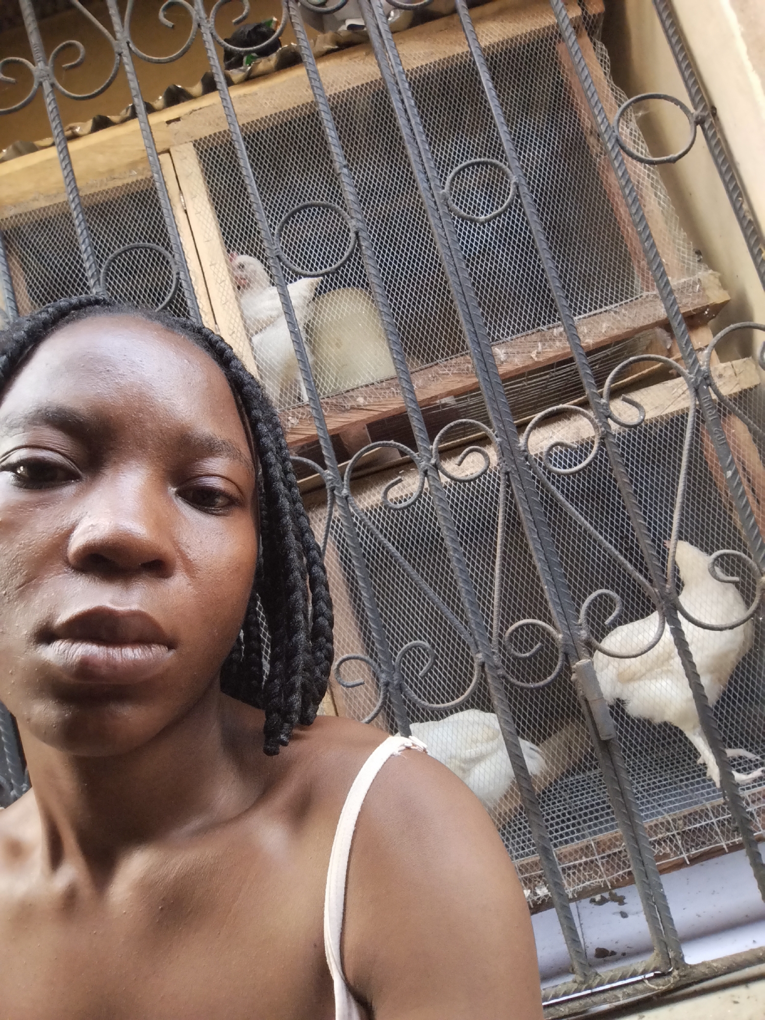 An upward-angle selfie of a young Black woman with dark braided hair and a white strap visible on her shoulder is taken in front of a barred window. Behind her, through the bars and a wire mesh, several white chickens are visible in an enclosure. The setting appears to be a residential area in Isiehor, Nigeria. The woman's face is the primary focus, with the chickens and the environment in the background.