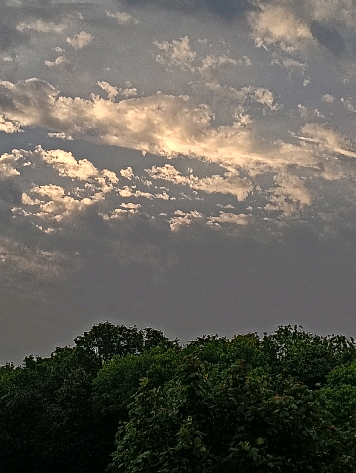 The image depicts a sky filled with a mix of dark and light clouds, with sunlight breaking through in some areas, creating a dramatic effect. Below the sky, a dense line of lush green trees forms the horizon. The scene appears to be a natural landscape, possibly a park or an area with significant vegetation. There are no people, man-made structures, or any signs of urban life visible in the image, suggesting a serene and natural setting. The lighting and cloud formation suggest it may be late afternoon or early evening. Without specific landmarks or contextual clues, it is impossible to determine the exact location within the city of Hrodna, Belarus.