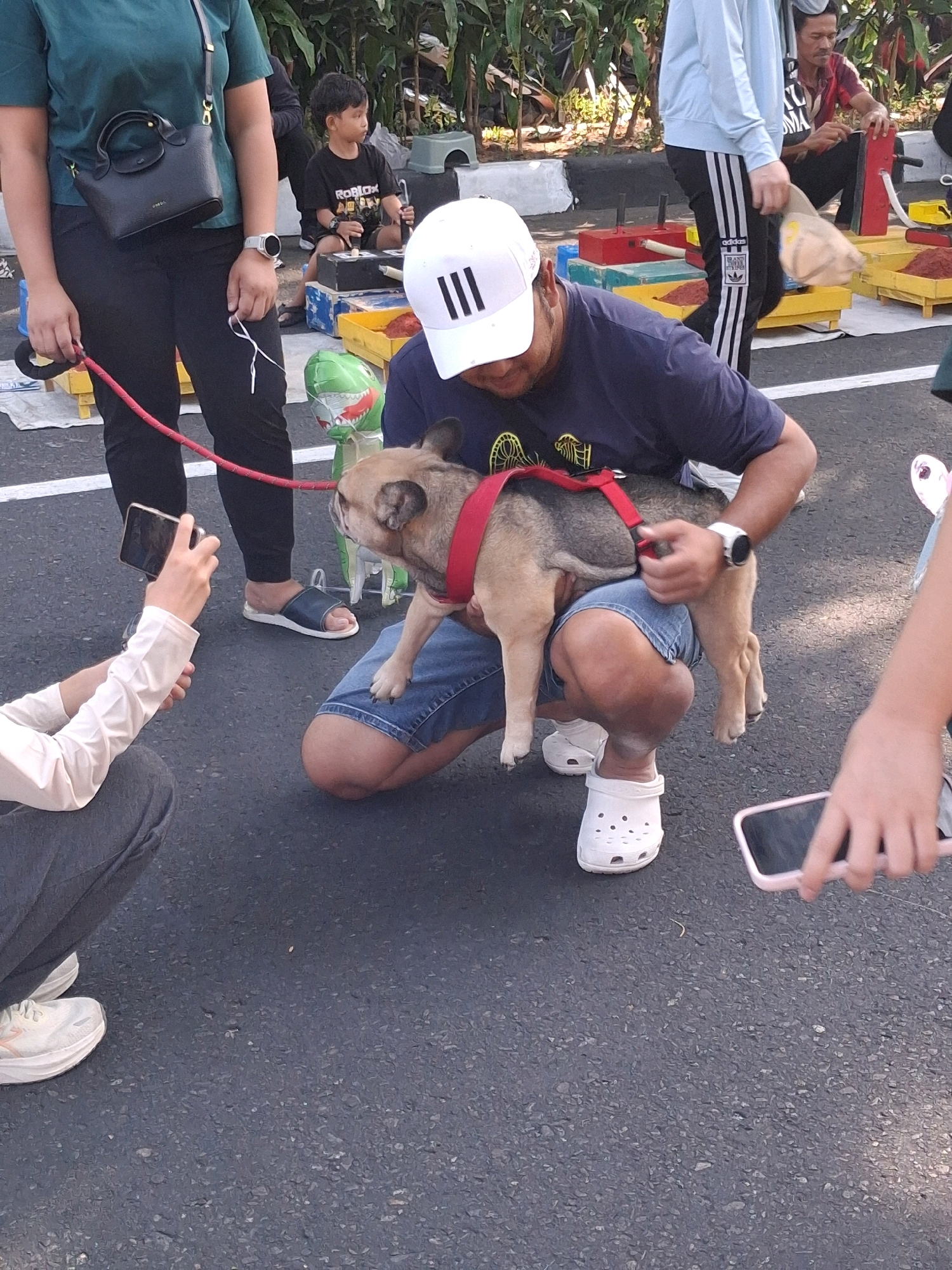 This image depicts an outdoor scene at what appears to be a public event or street market, possibly in Surakarta, Indonesia, given the presence of vibrant stalls and a lively atmosphere. In the foreground, a man wearing a dark blue t-shirt and denim shorts is holding a French bulldog. The dog is wearing a red harness. The man is also wearing white Crocs-style shoes. To his left, a person in dark pants and a green t-shirt is holding a black purse and a leash. A person with light-colored sleeves is kneeling on the ground, holding a smartphone up to take a photo of the dog. In the background, several colorful stalls are visible, with people attending to them. One stall appears to be selling spices or powders in yellow containers. A child in a black t-shirt is sitting near a stall. The ground is paved, and foliage is visible in the upper background, suggesting an urban setting with some greenery. The lighting indicates it is daytime.