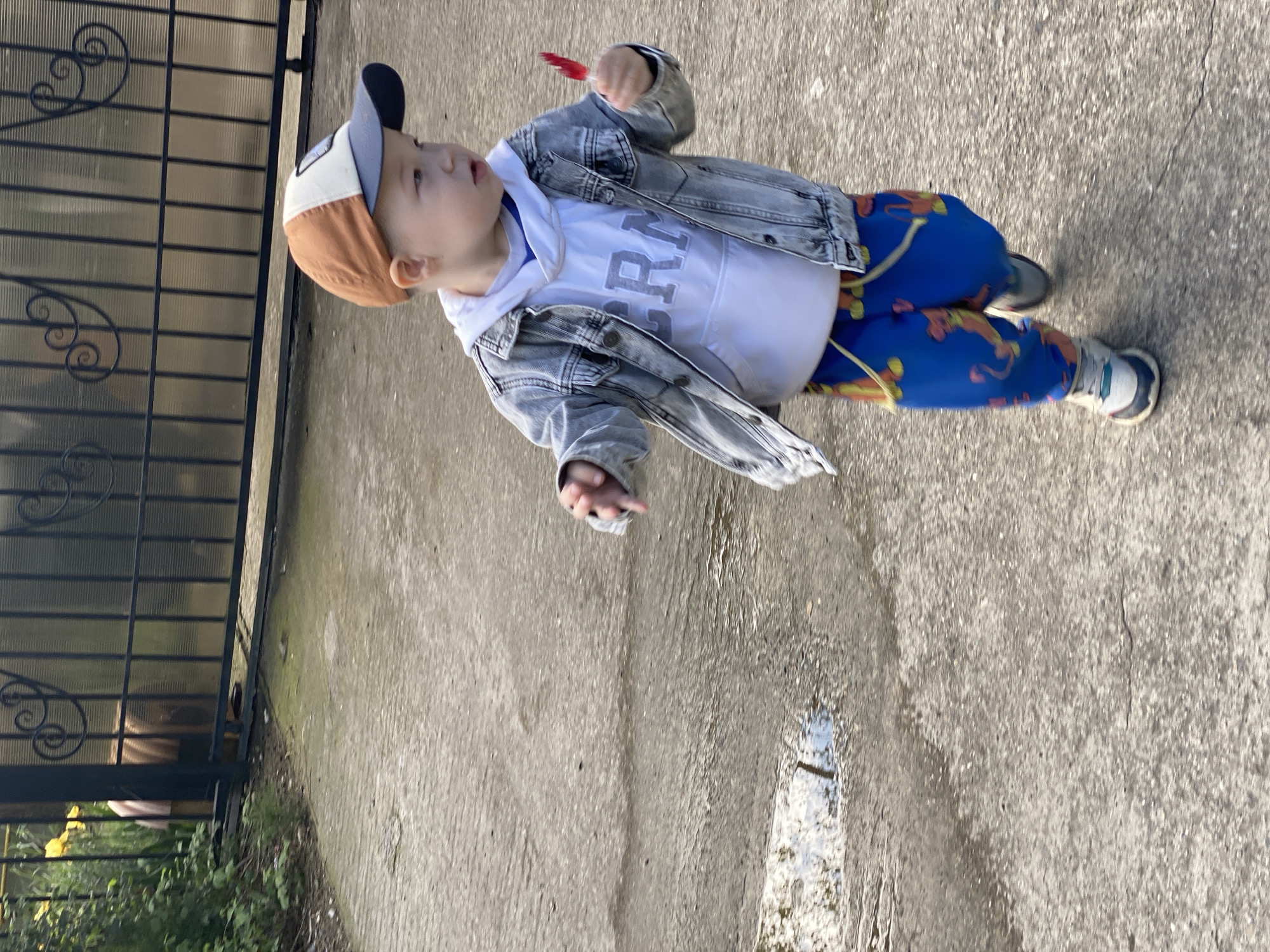 A young child wearing a baseball cap, white hooded sweatshirt with lettering, a denim jacket, and blue patterned pants stands on a concrete surface. The child holds a small red object in their right hand. A metal gate is visible to the left, with greenery below. A puddle is on the concrete. The location may be in Sochi, Russia.