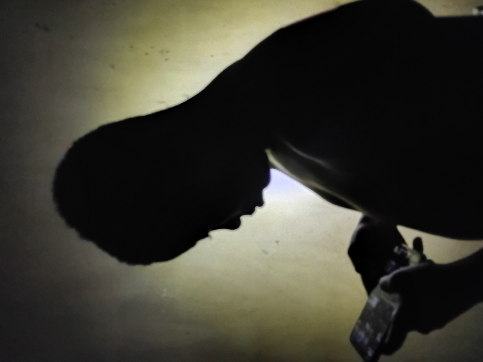 A dark silhouette of a person bending over and holding a mobile phone is visible against a light background. The location, Ikorodu, Nigeria, cannot be verified from the image.