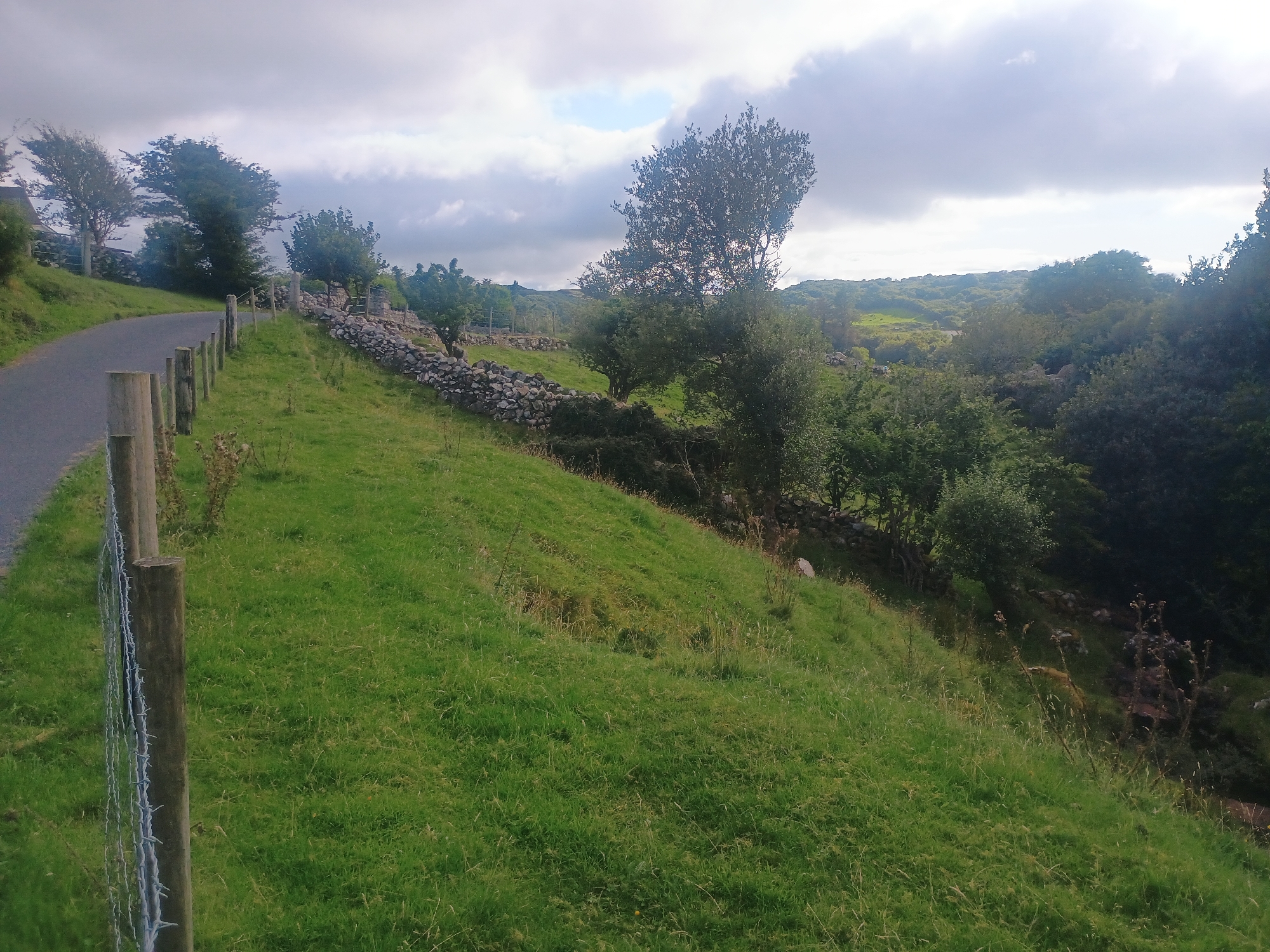 The image depicts a rural landscape with a paved road curving to the left. A wooden fence with barbed wire runs along the side of the road, bordering a grassy slope. The slope is covered in green grass with some patches of dry vegetation. A stone wall, constructed from irregular rocks, stretches across the middle ground, separating the slope from a wooded area. Several trees of varying sizes are present, some with full foliage, others appearing more sparse. The sky is overcast with dramatic clouds, suggesting a potentially windy or unsettled day. The terrain appears to be hilly, with more trees and undulating land visible in the distance. There are no people or animals visible in the image. The scene conveys a sense of natural beauty and a remote, undisturbed environment.